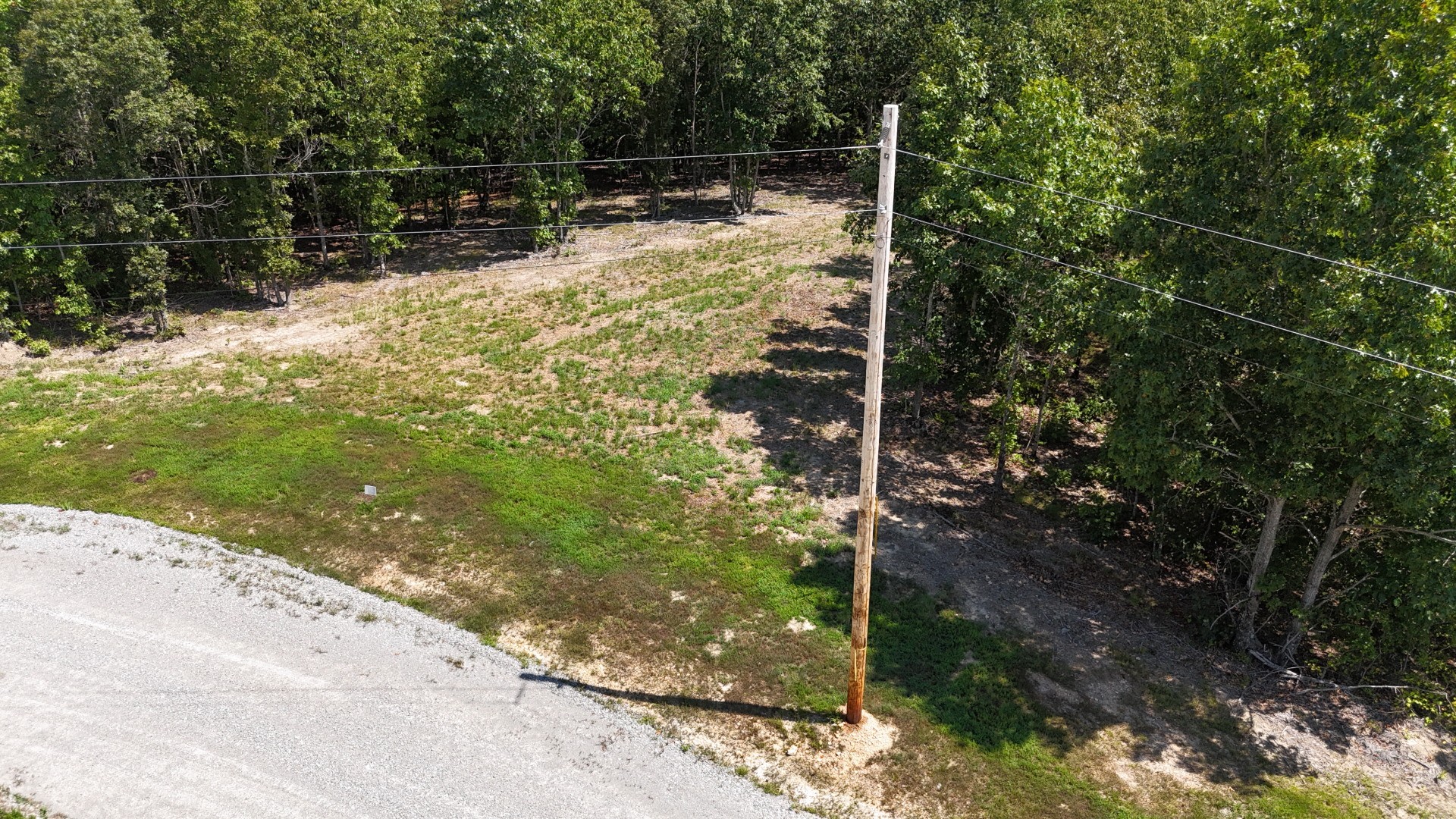 113 Chestnut Dr Property Photo 2