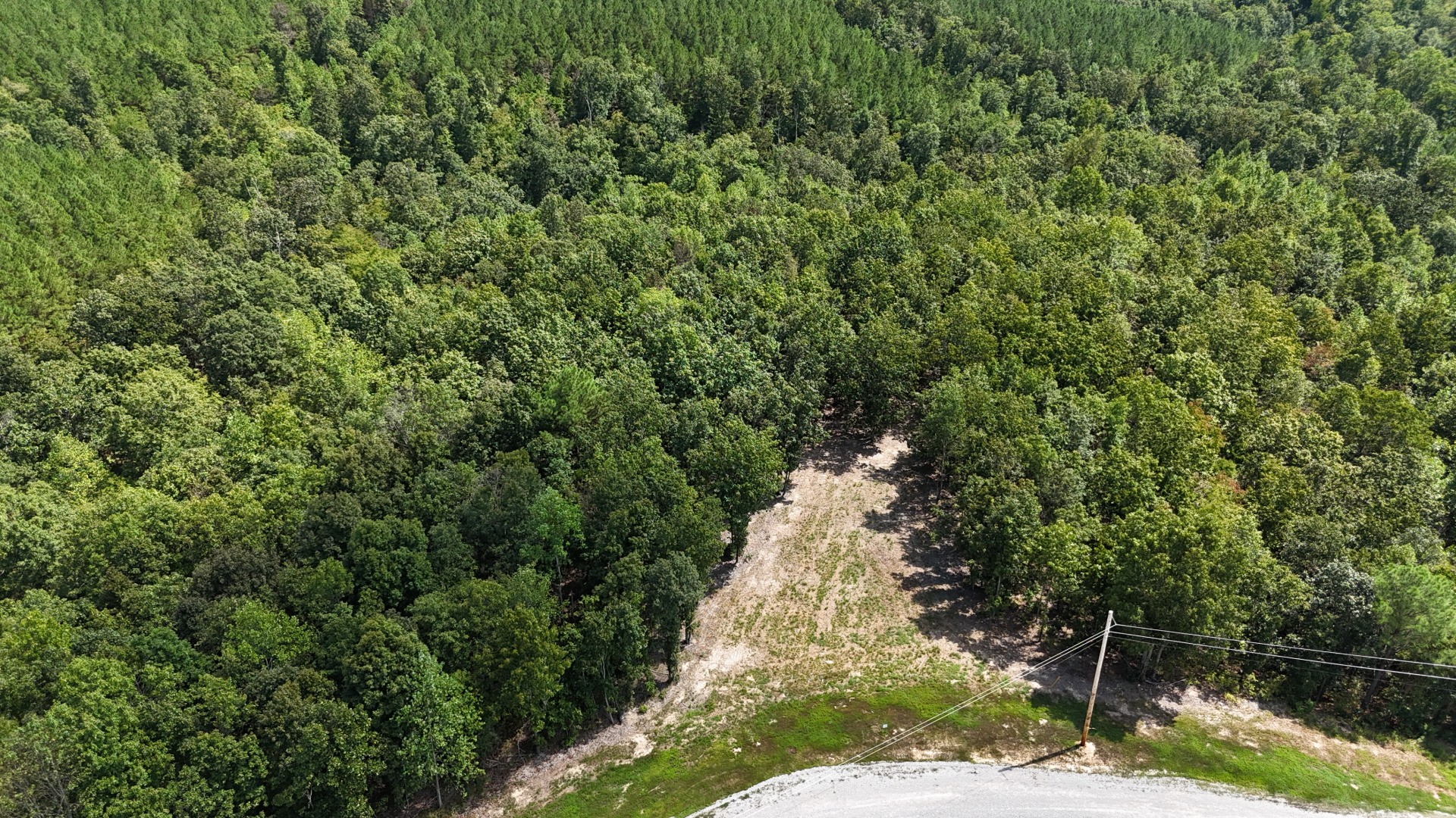 113 Chestnut Dr Property Photo 7