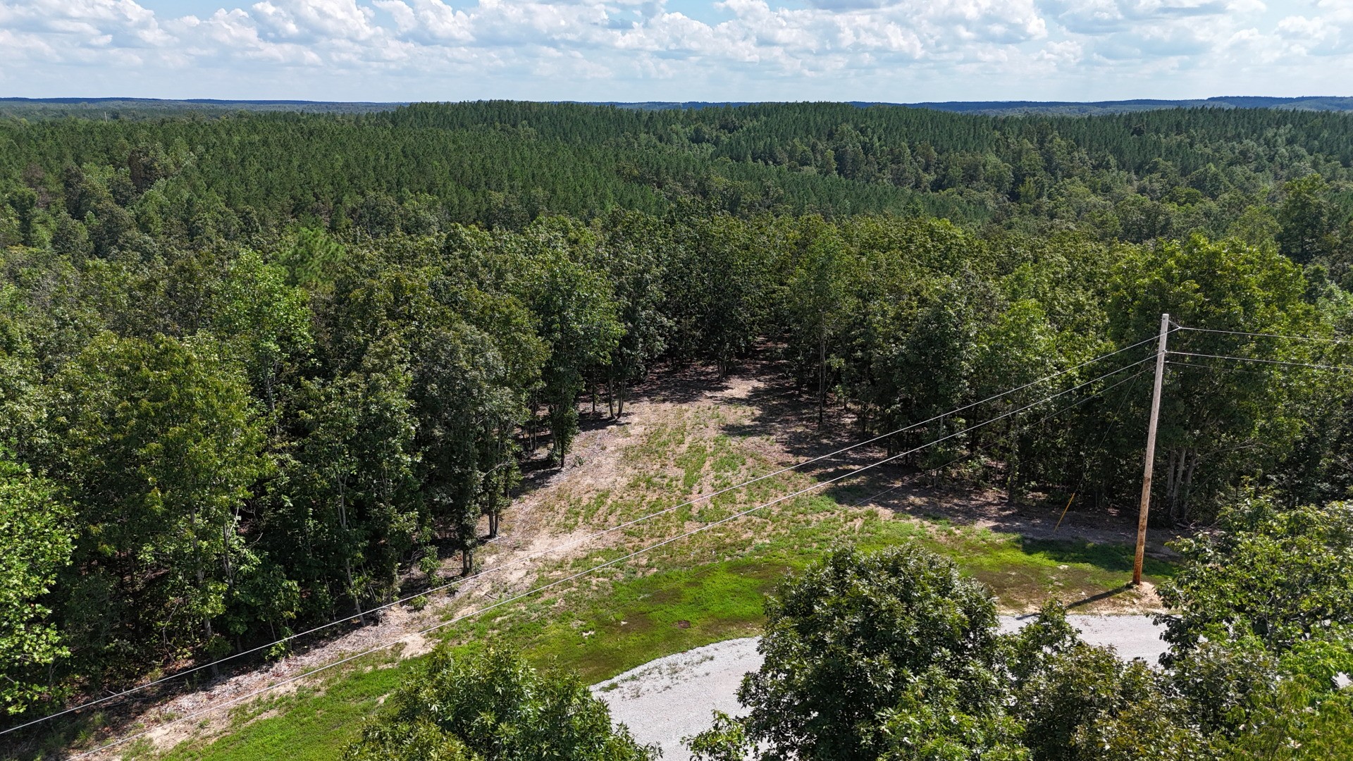 113 Chestnut Dr Property Photo 9