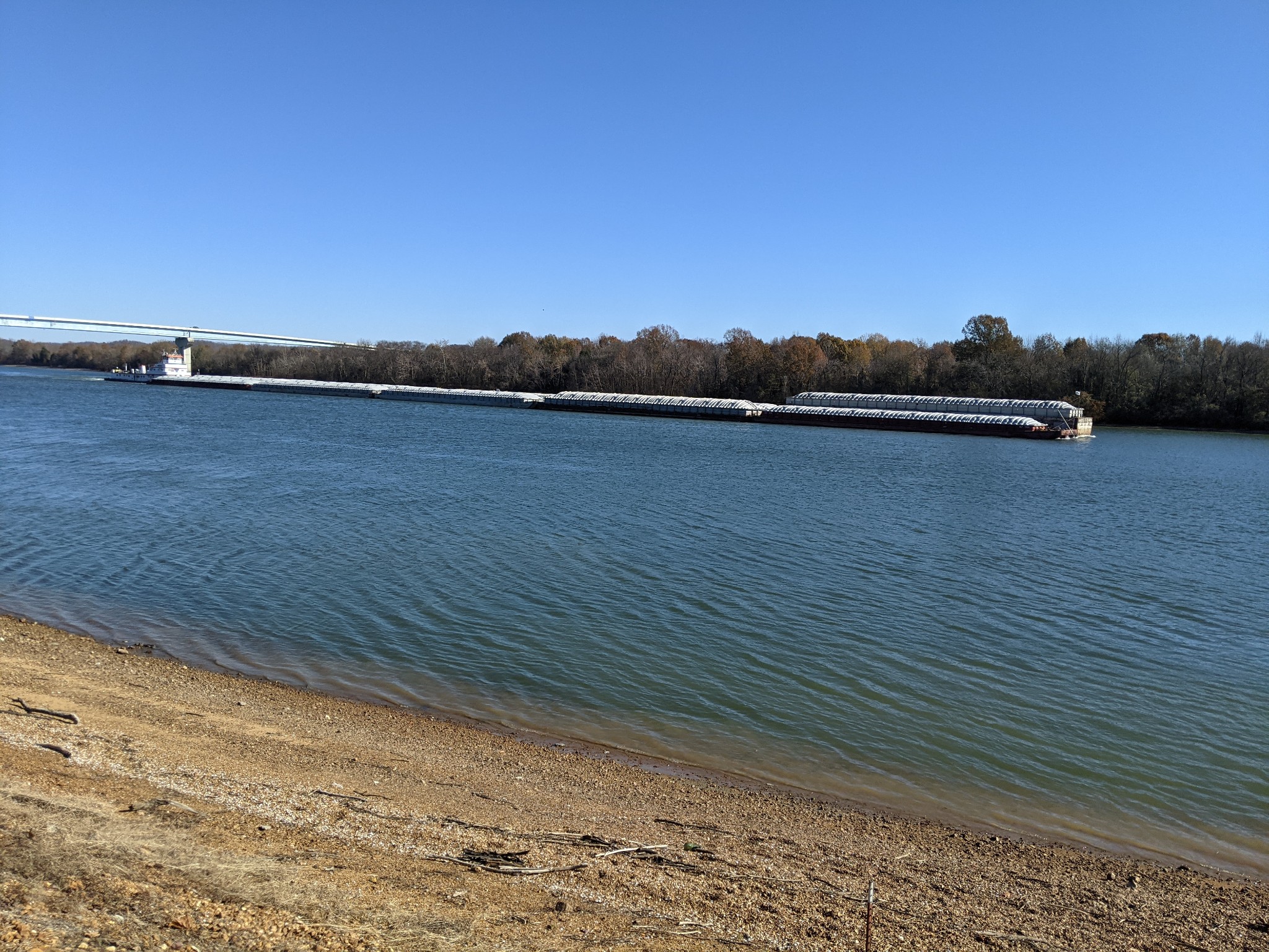 113 Chestnut Dr Property Photo 12