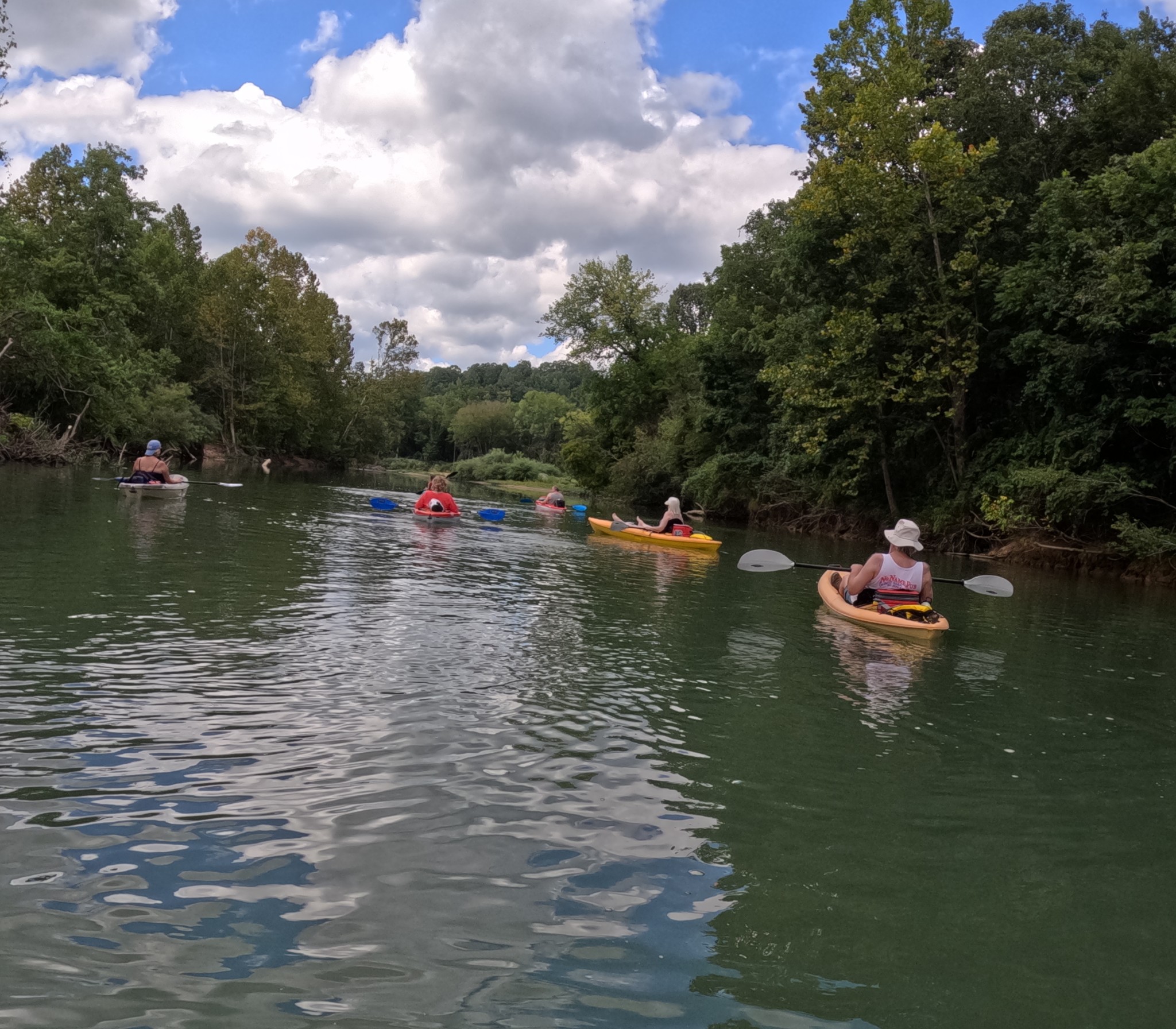 113 Chestnut Dr Property Photo 14