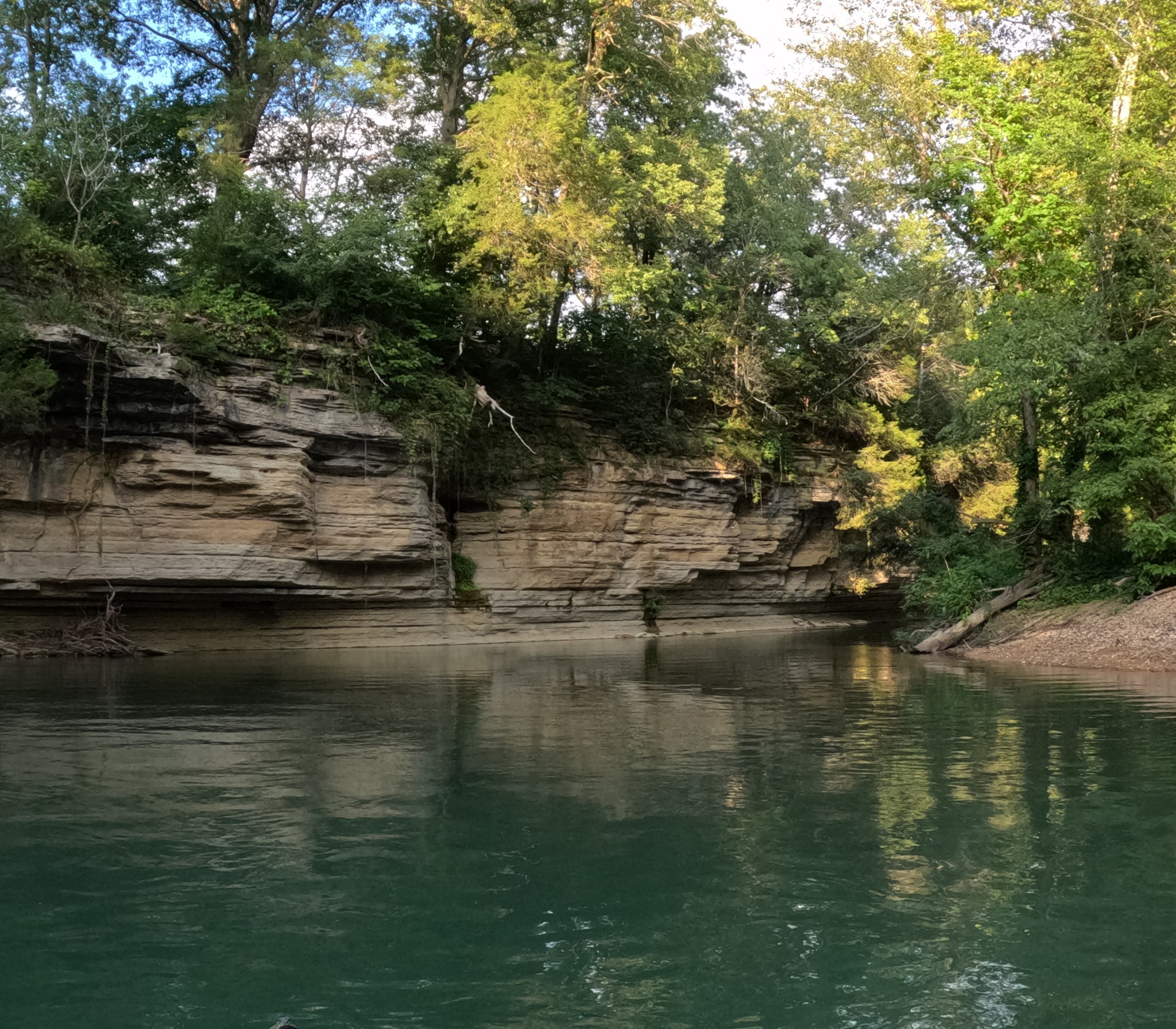 113 Chestnut Dr Property Photo 15