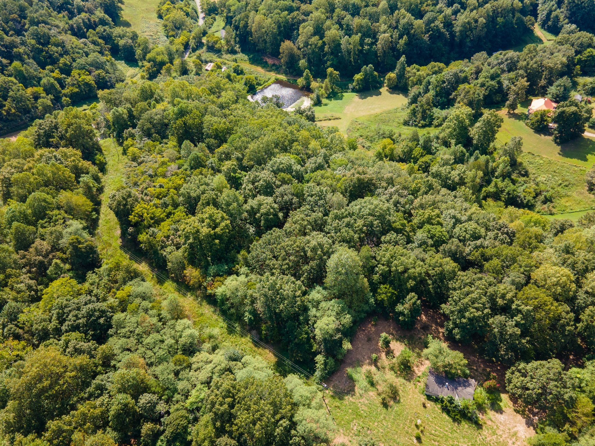 2311 Blue Branch Rd Property Photo 2