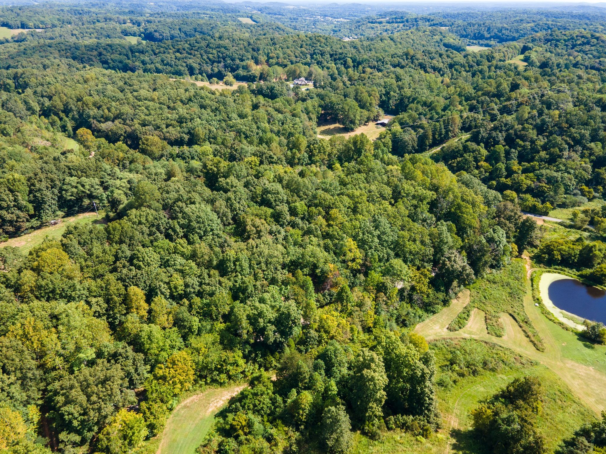 2311 Blue Branch Rd Property Photo 4