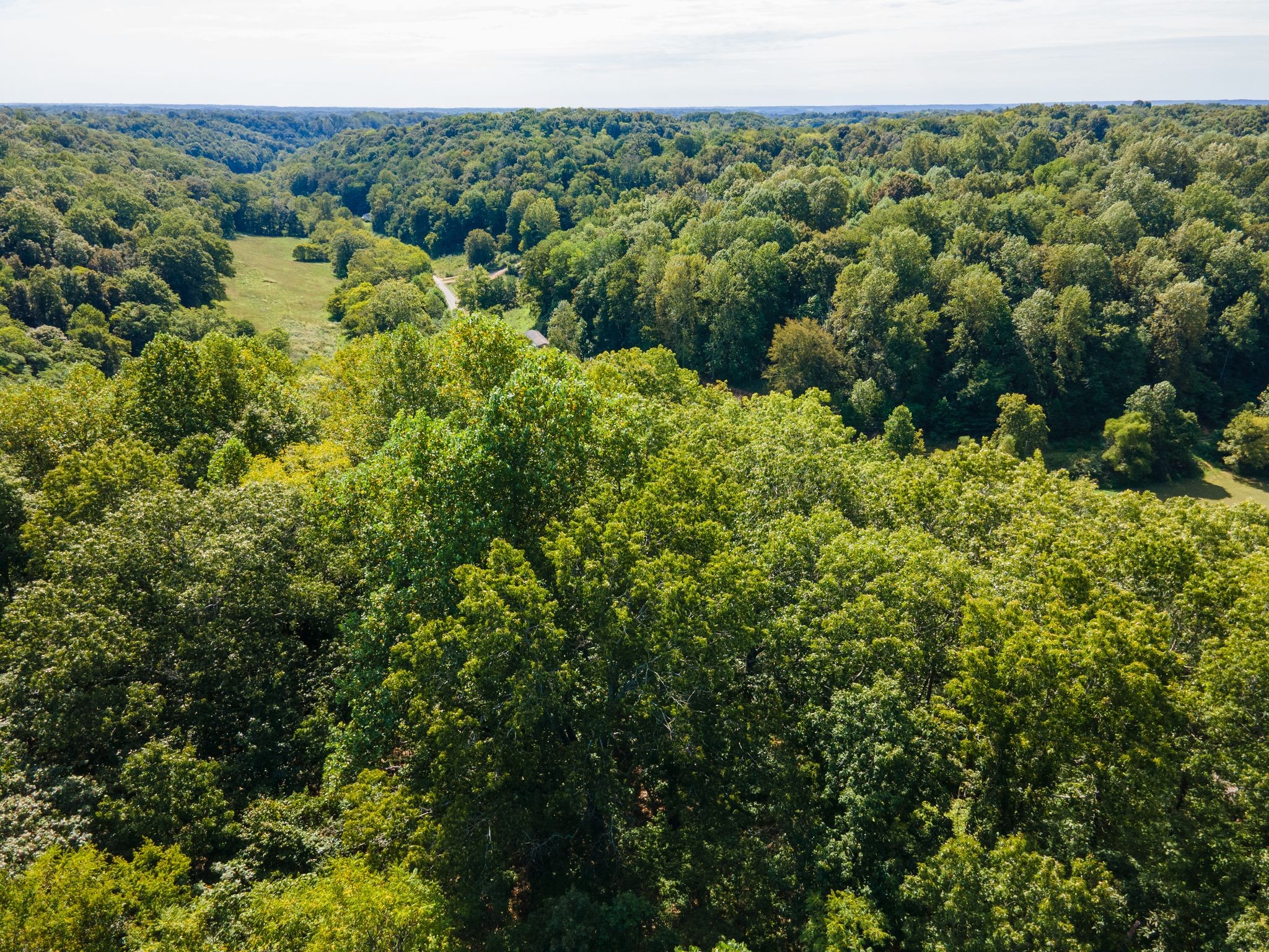 2311 Blue Branch Rd Property Photo 6