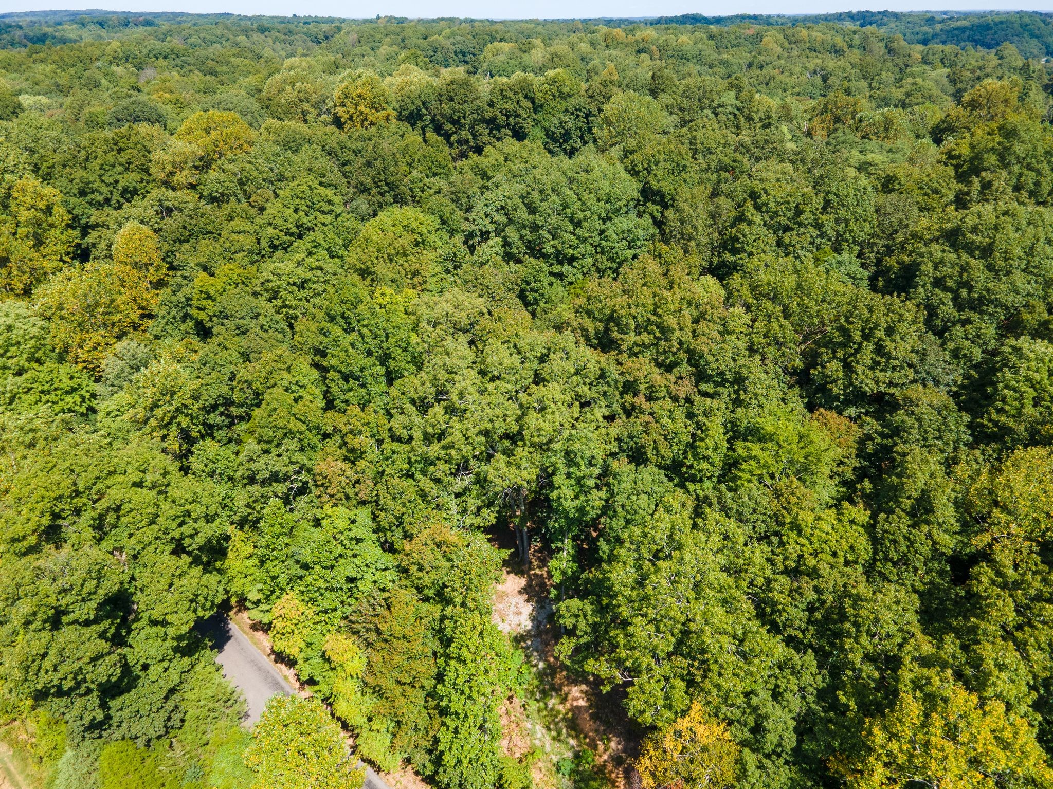 2311 Blue Branch Rd Property Photo 7