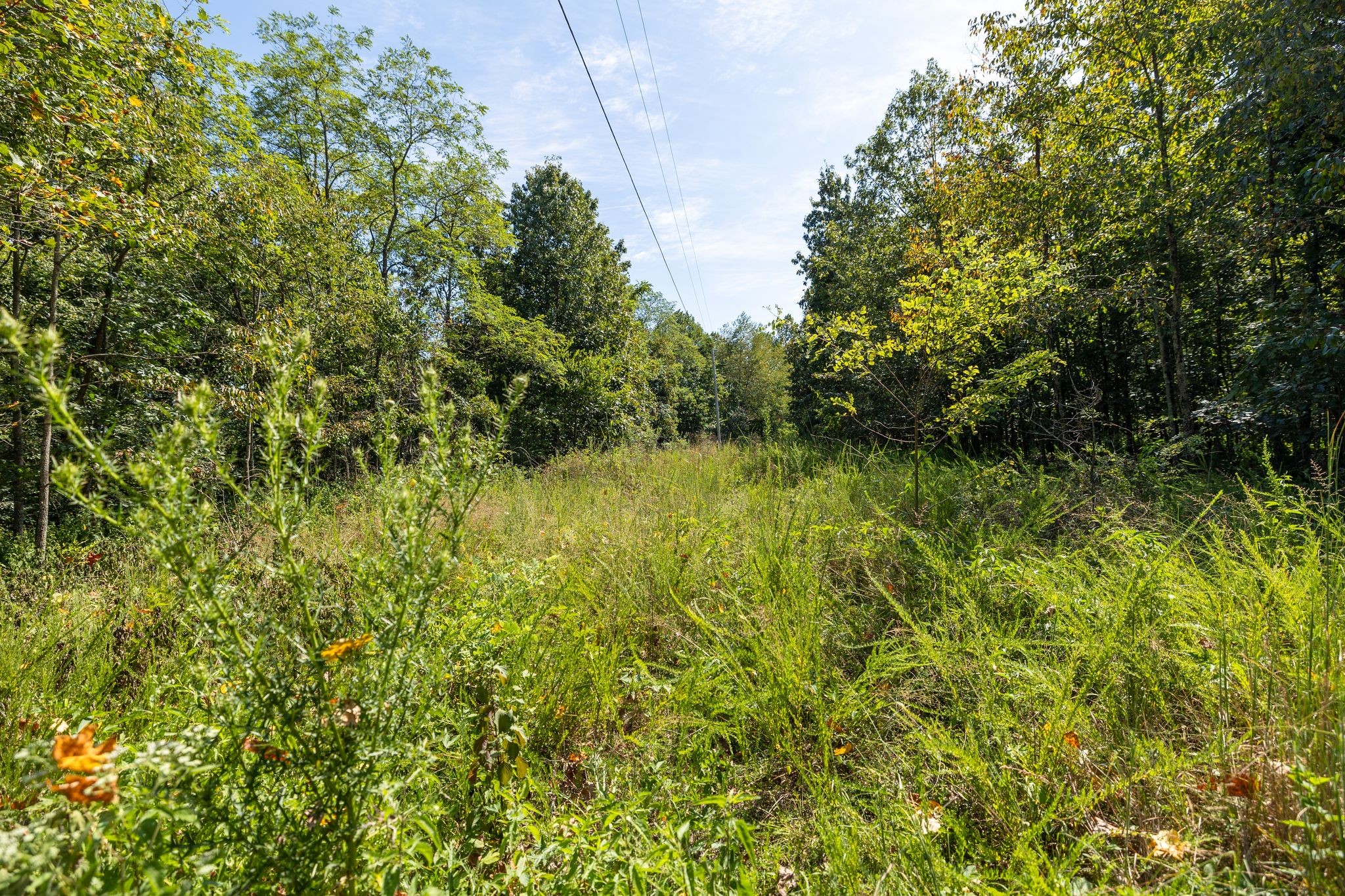 2311 Blue Branch Rd Property Photo 8