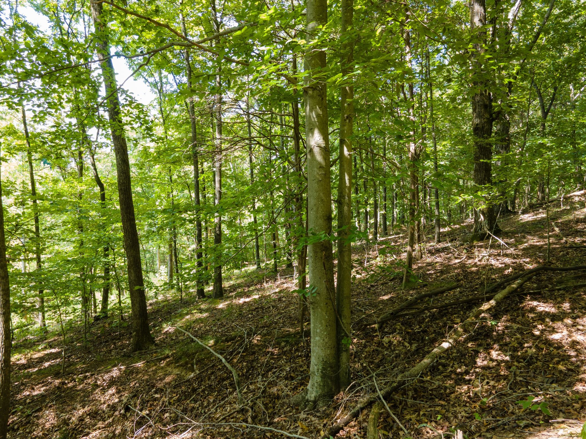 2311 Blue Branch Rd Property Photo 9