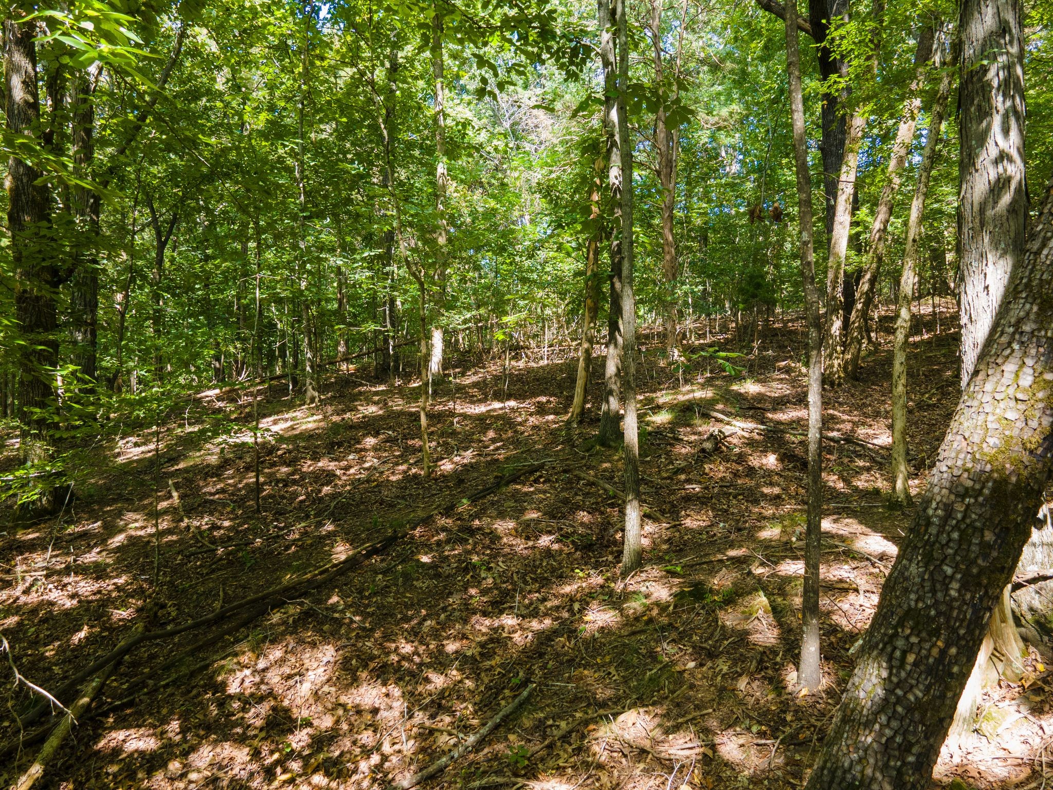 2311 Blue Branch Rd Property Photo 10