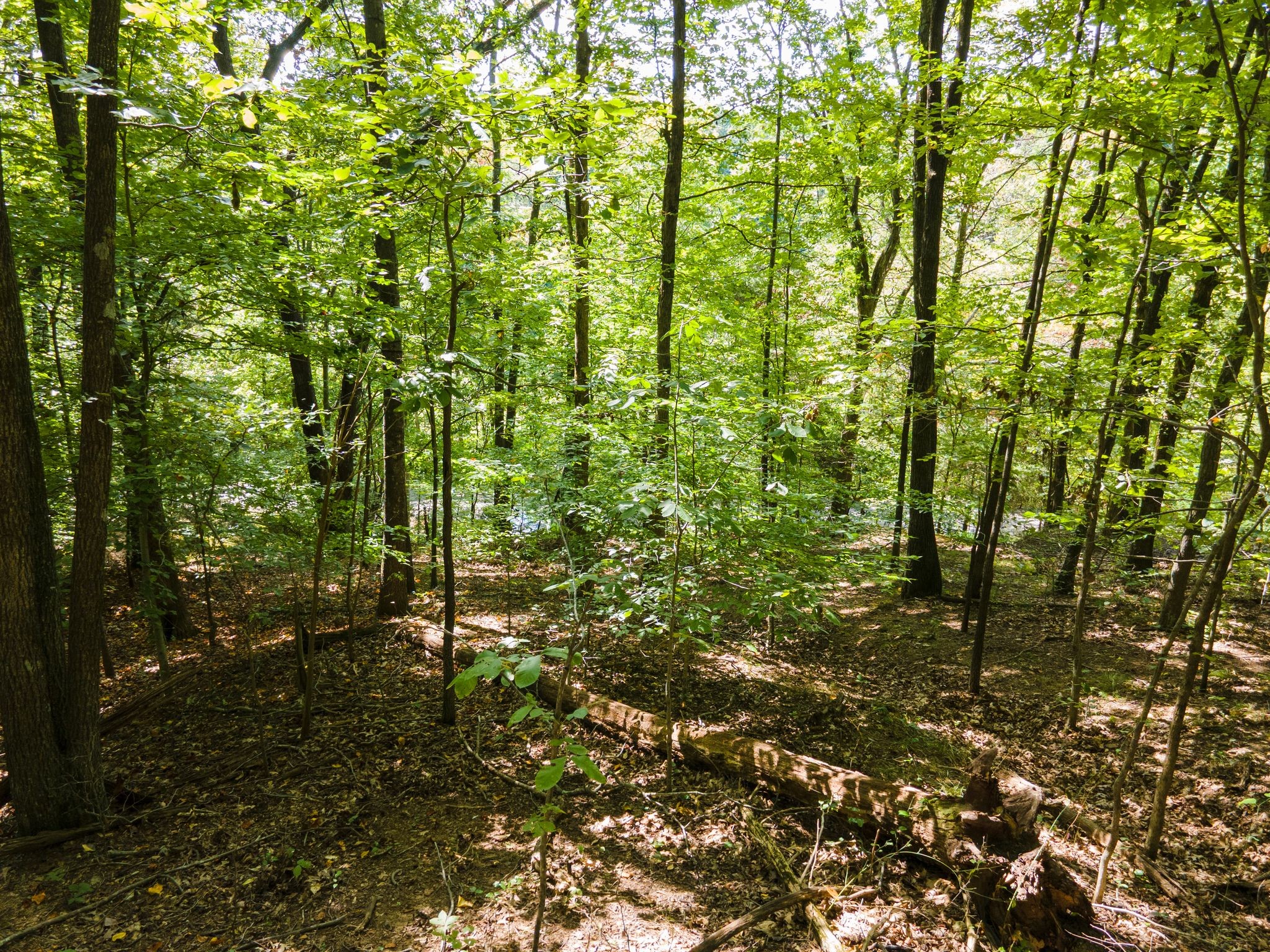 2311 Blue Branch Rd Property Photo 11