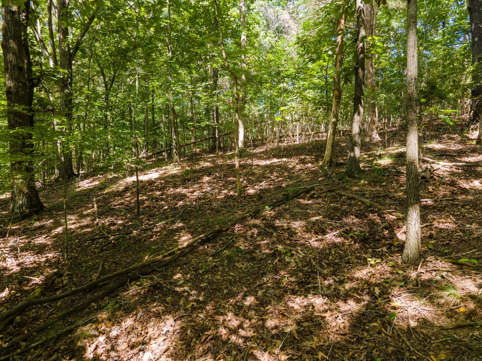 2311 Blue Branch Rd Property Photo 12