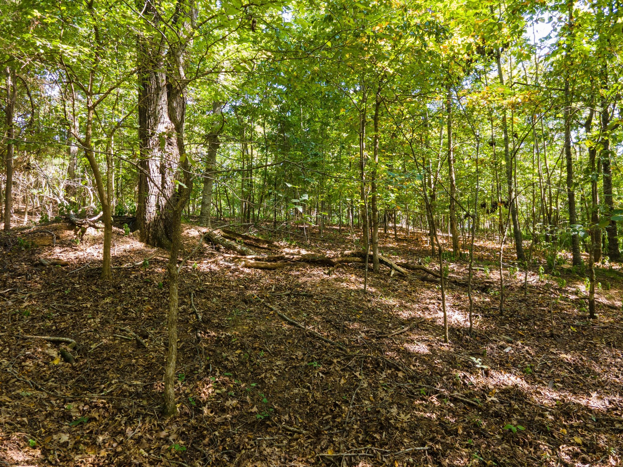 2311 Blue Branch Rd Property Photo 13