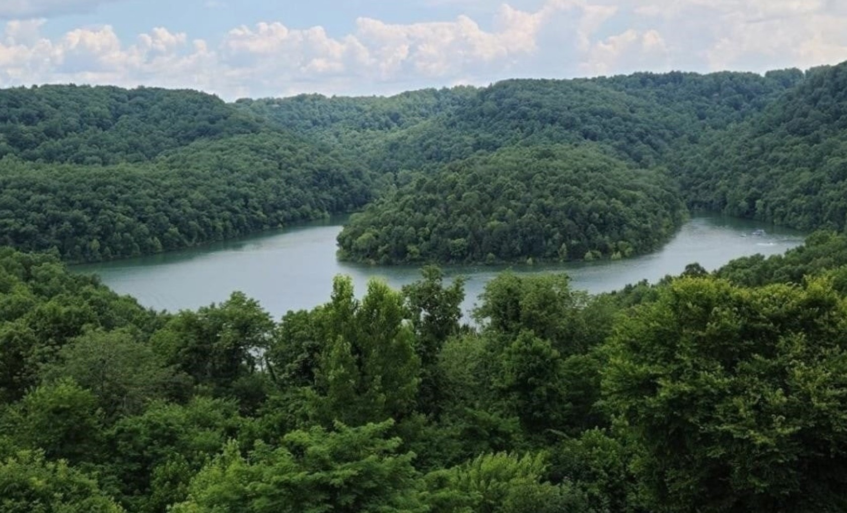 56 Nadia Lane Property Photo 1