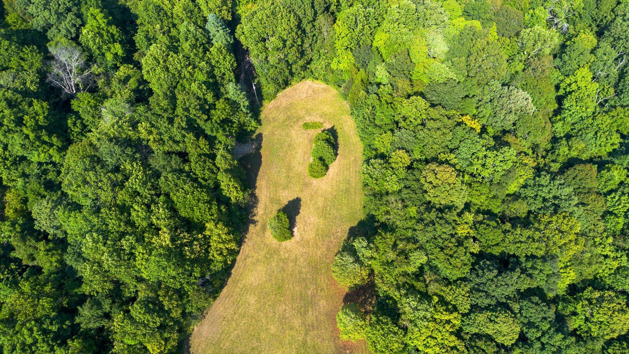 5822 Highway 41a Property Photo 18