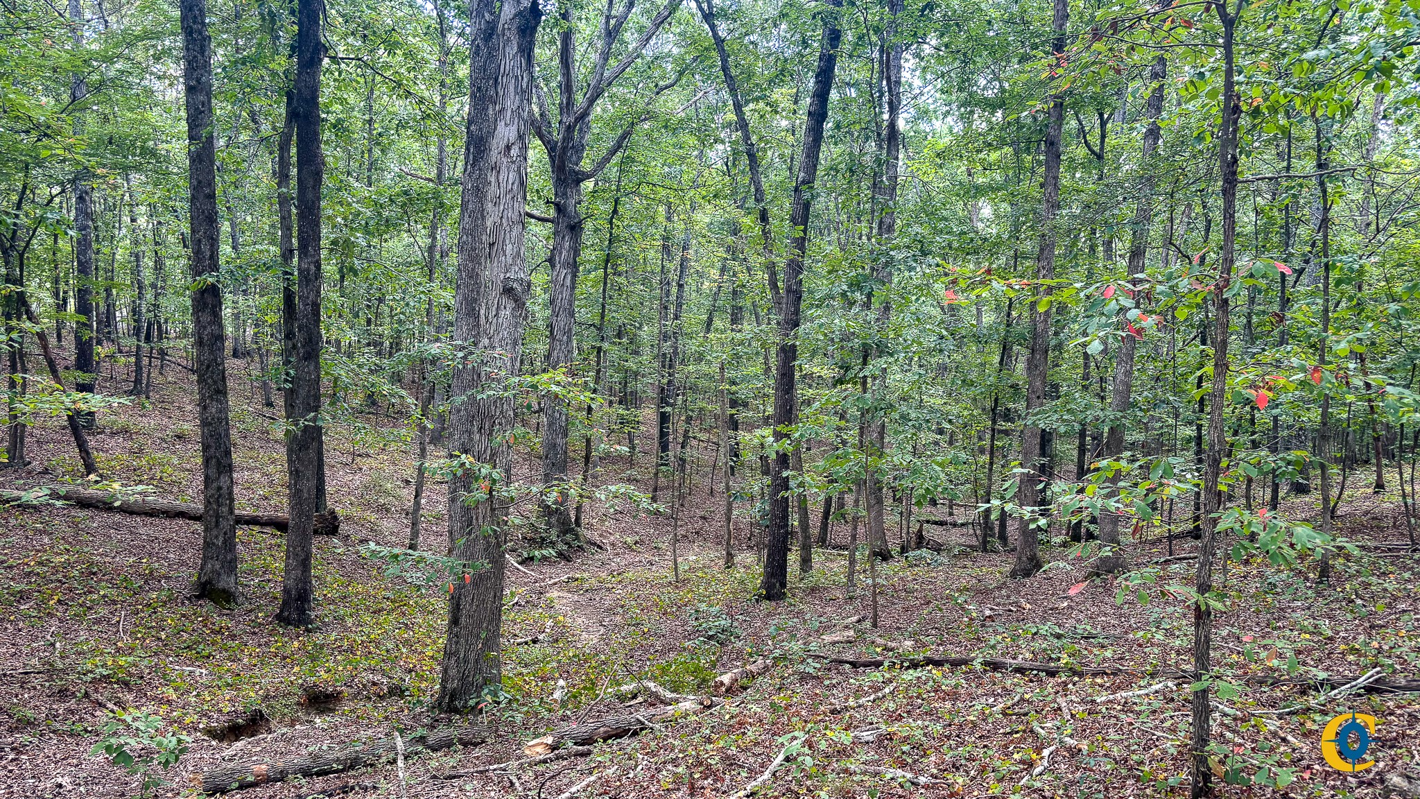 9971 Birdsong Rd Property Photo 2