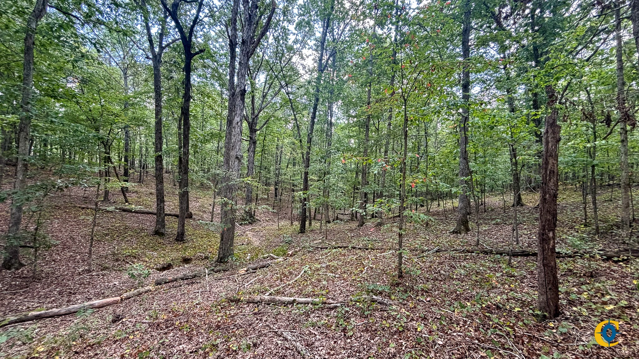 9971 Birdsong Rd Property Photo 3