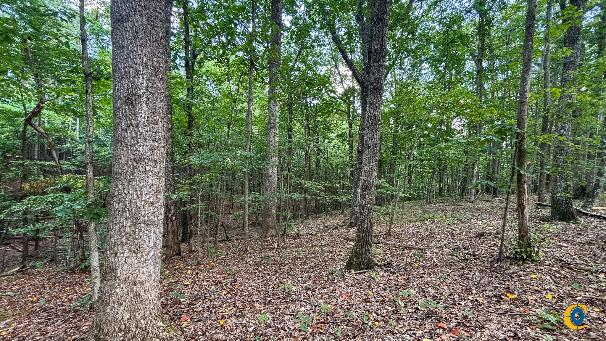 9971 Birdsong Rd Property Photo 7