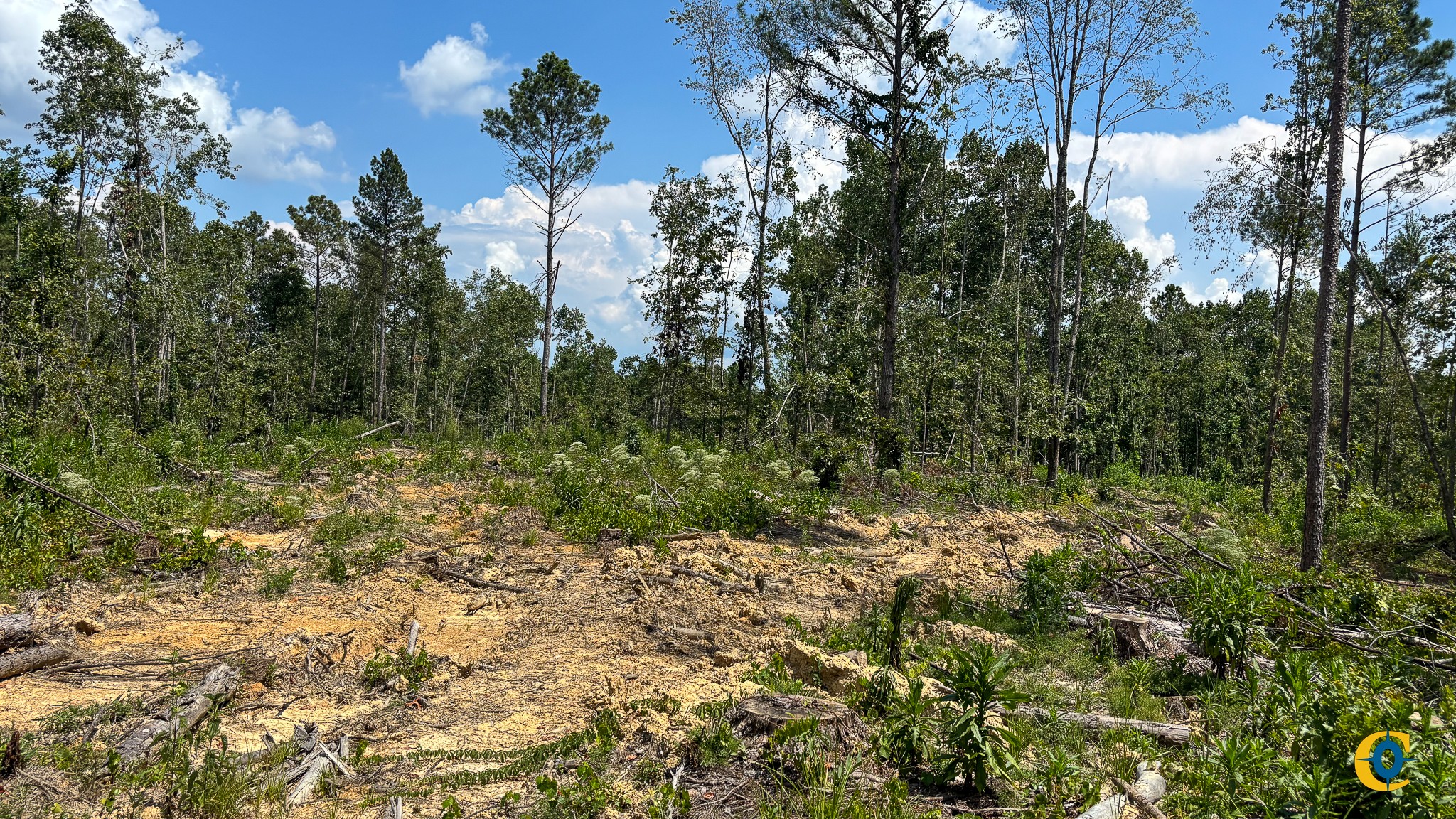 9971 Birdsong Rd Property Photo 10