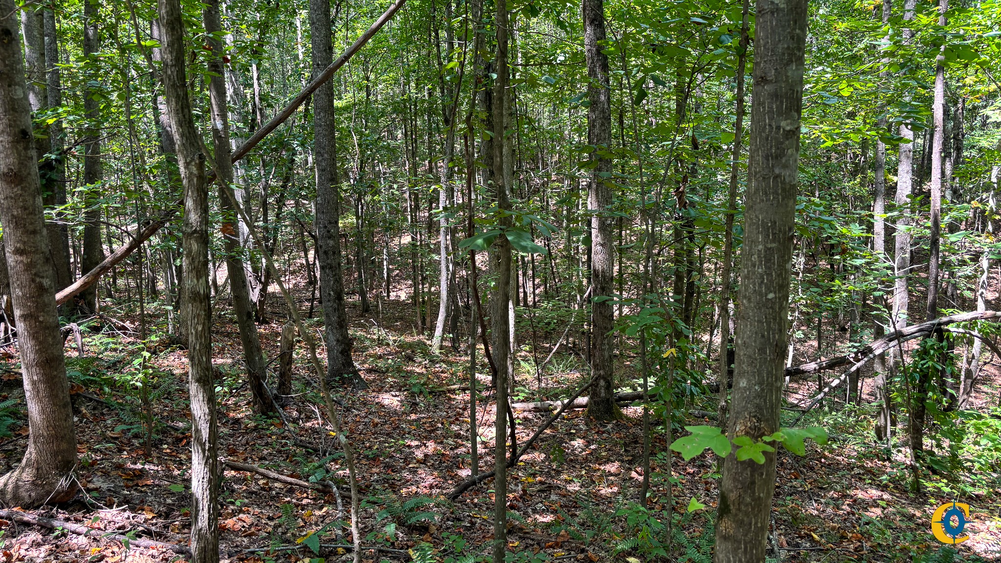 9971 Birdsong Rd Property Photo 11