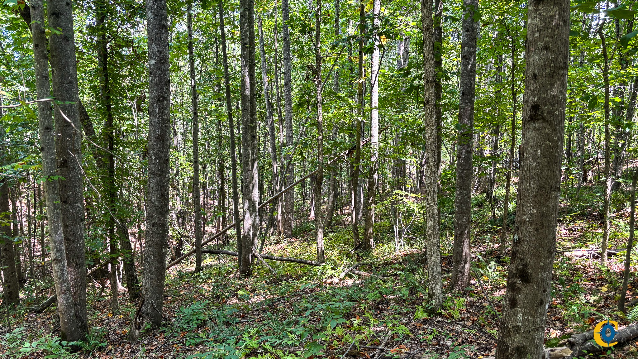 9971 Birdsong Rd Property Photo 12