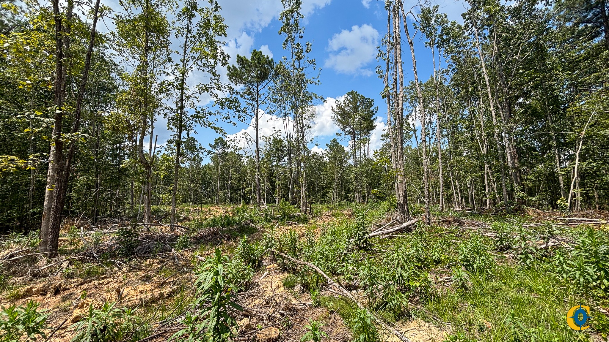 9971 Birdsong Rd Property Photo 14