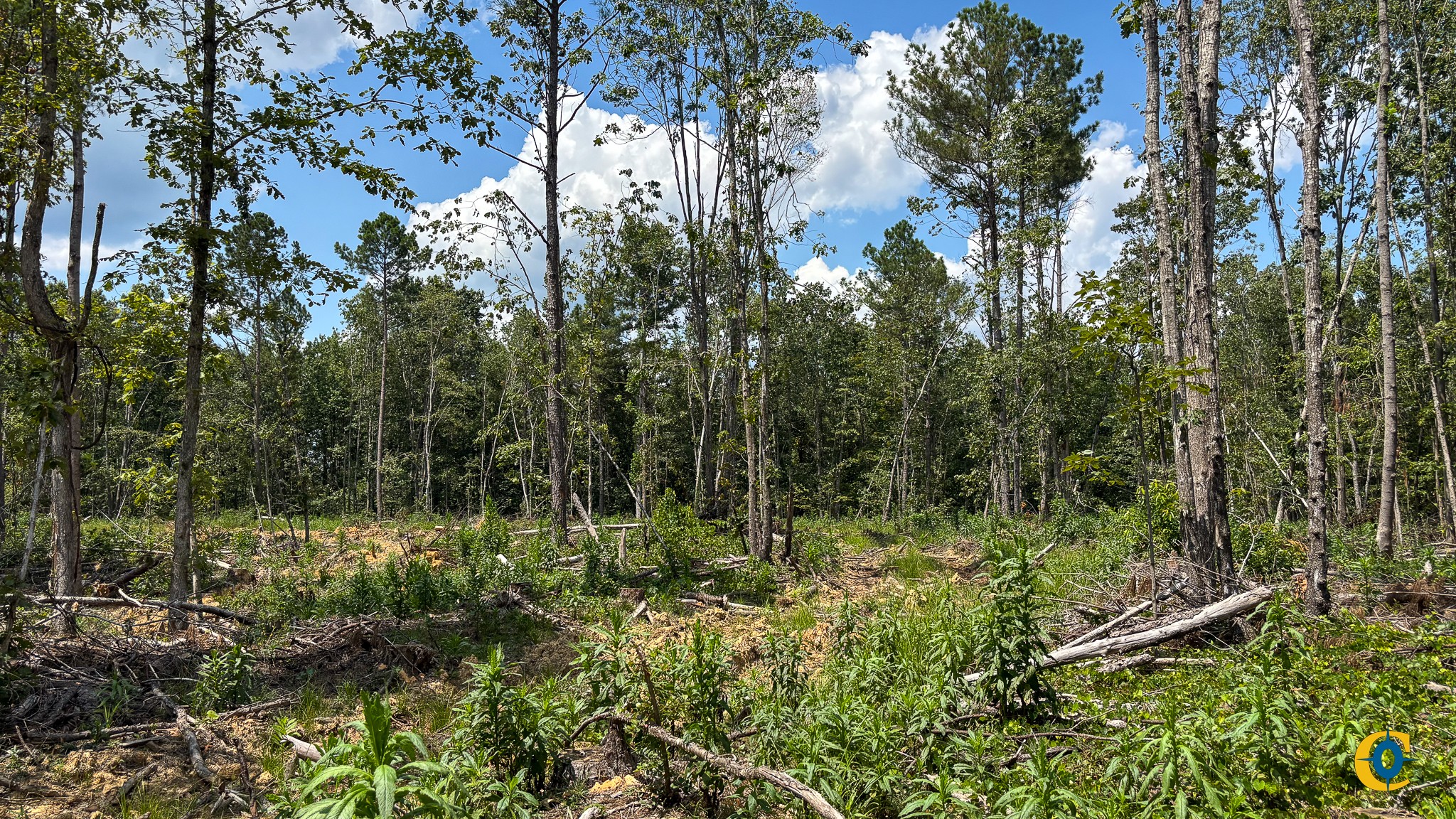 9971 Birdsong Rd Property Photo 15