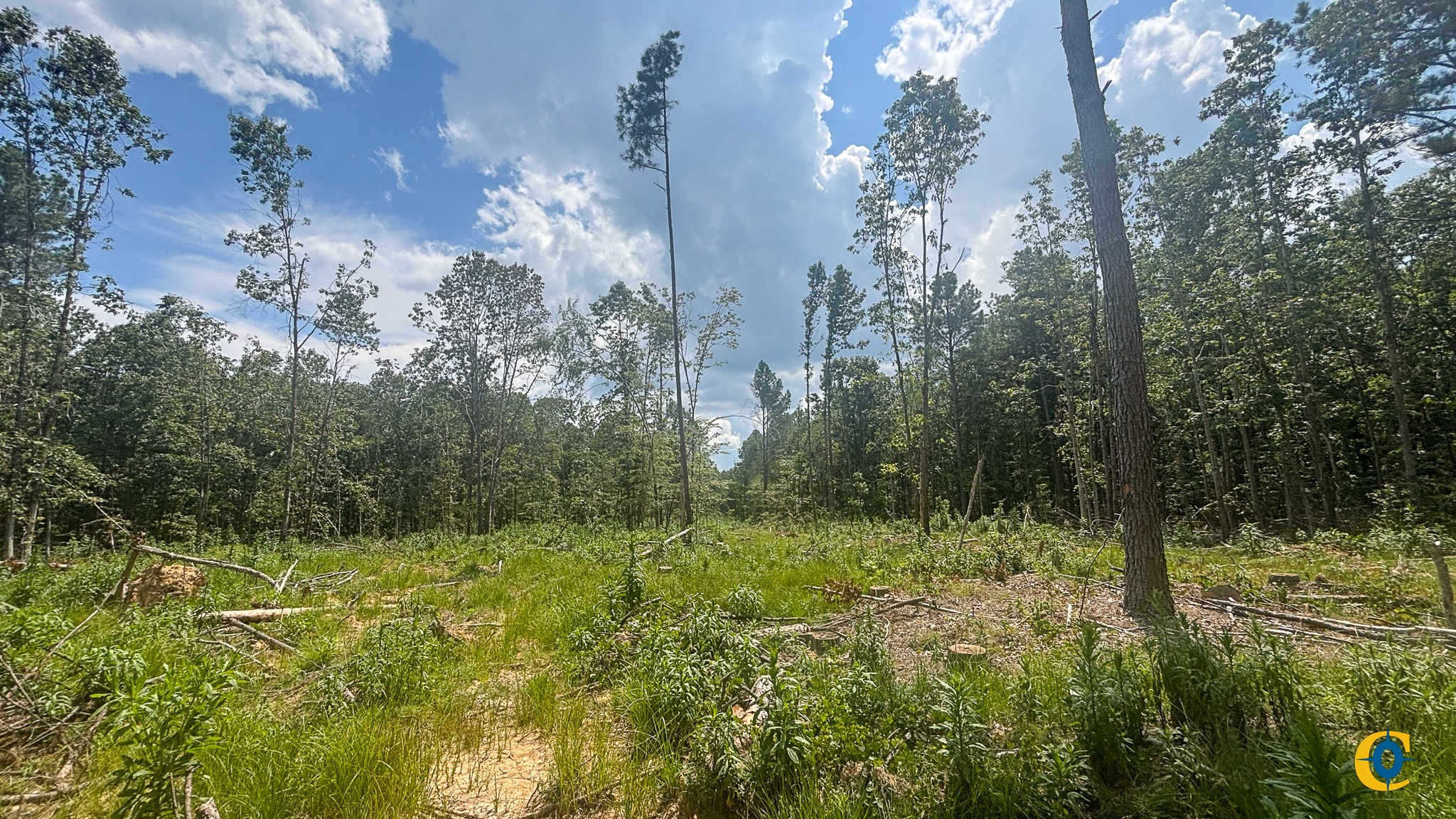 9971 Birdsong Rd Property Photo 16