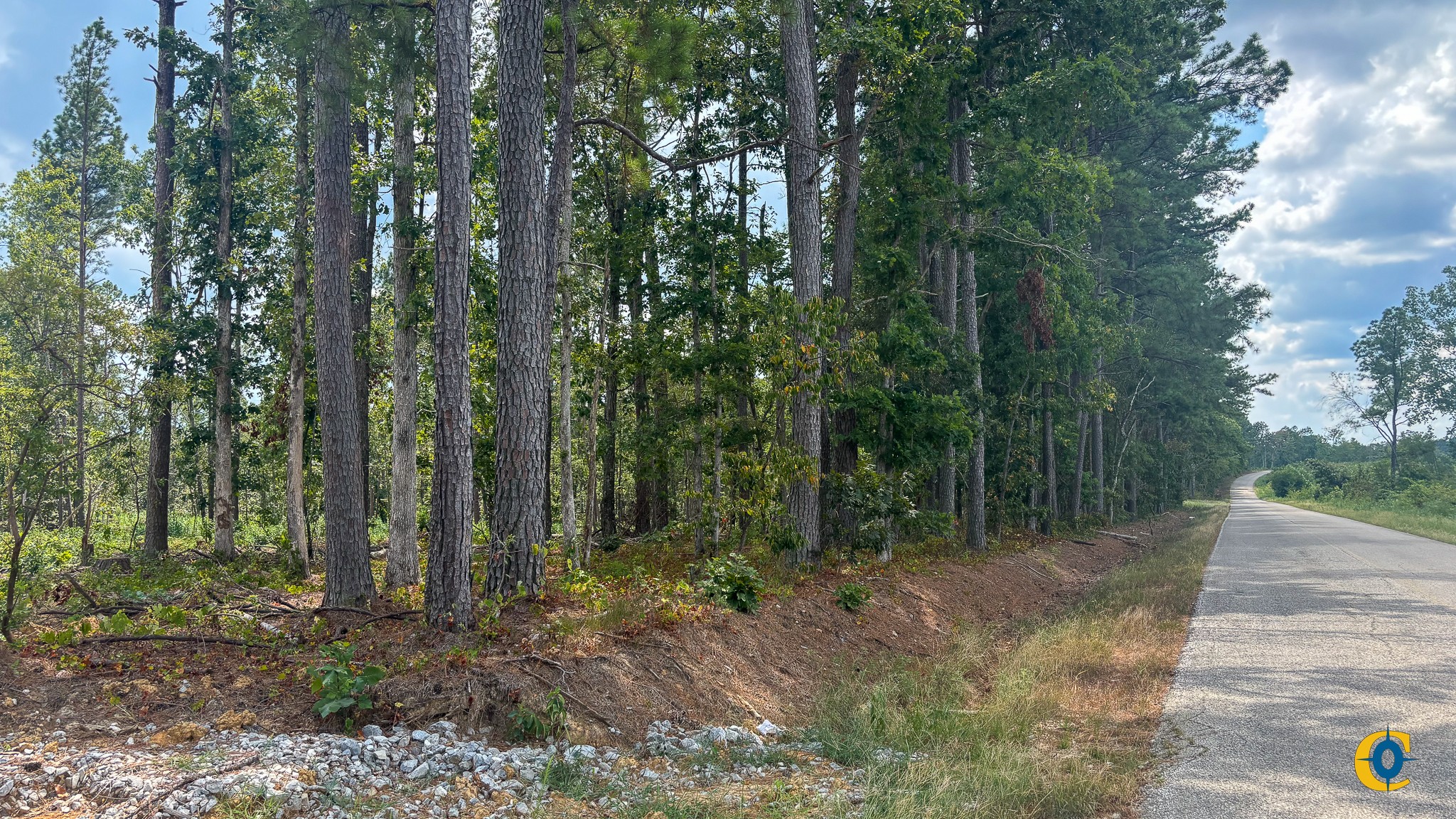 9971 Birdsong Rd Property Photo 17