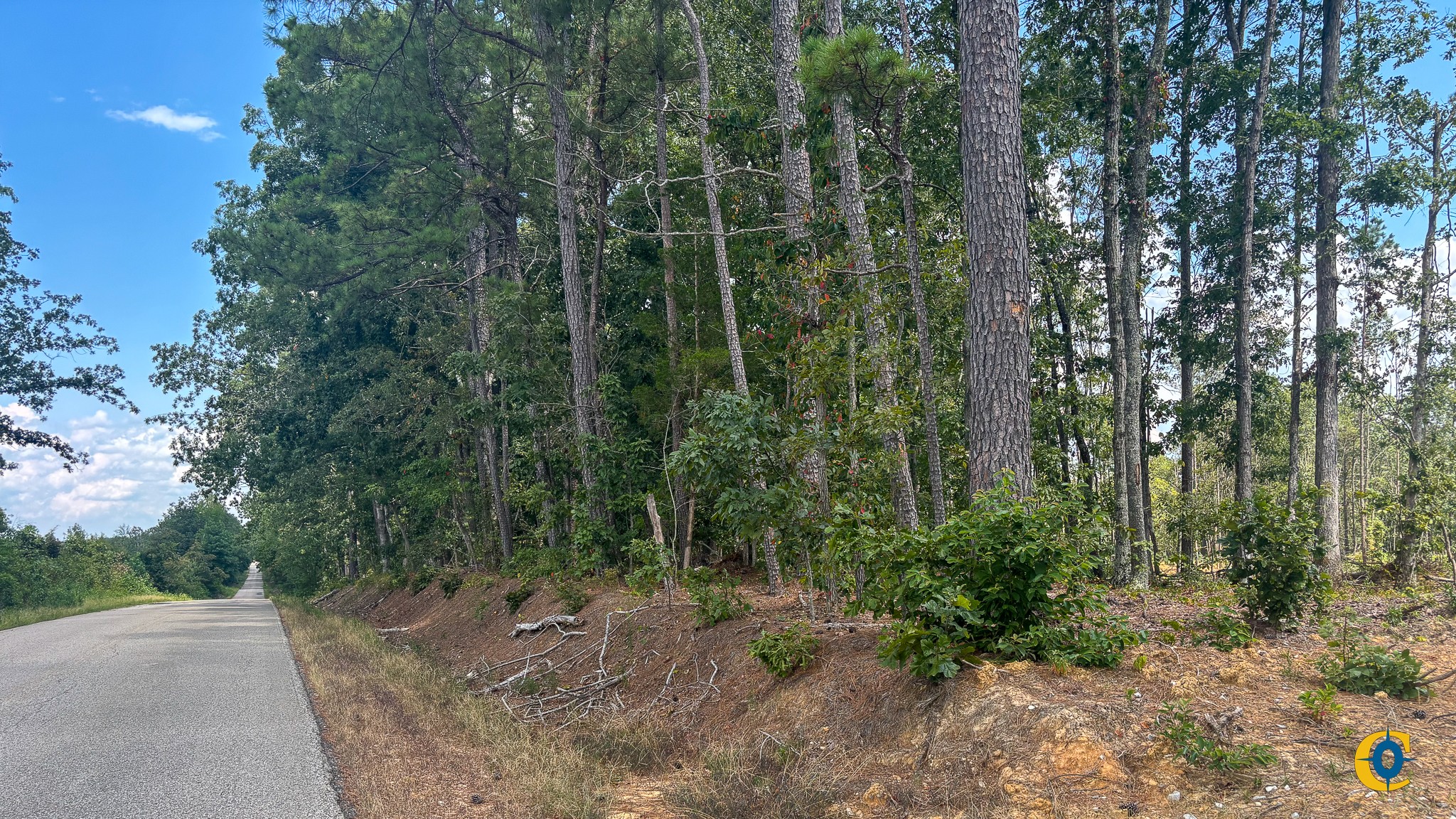 9971 Birdsong Rd Property Photo 18