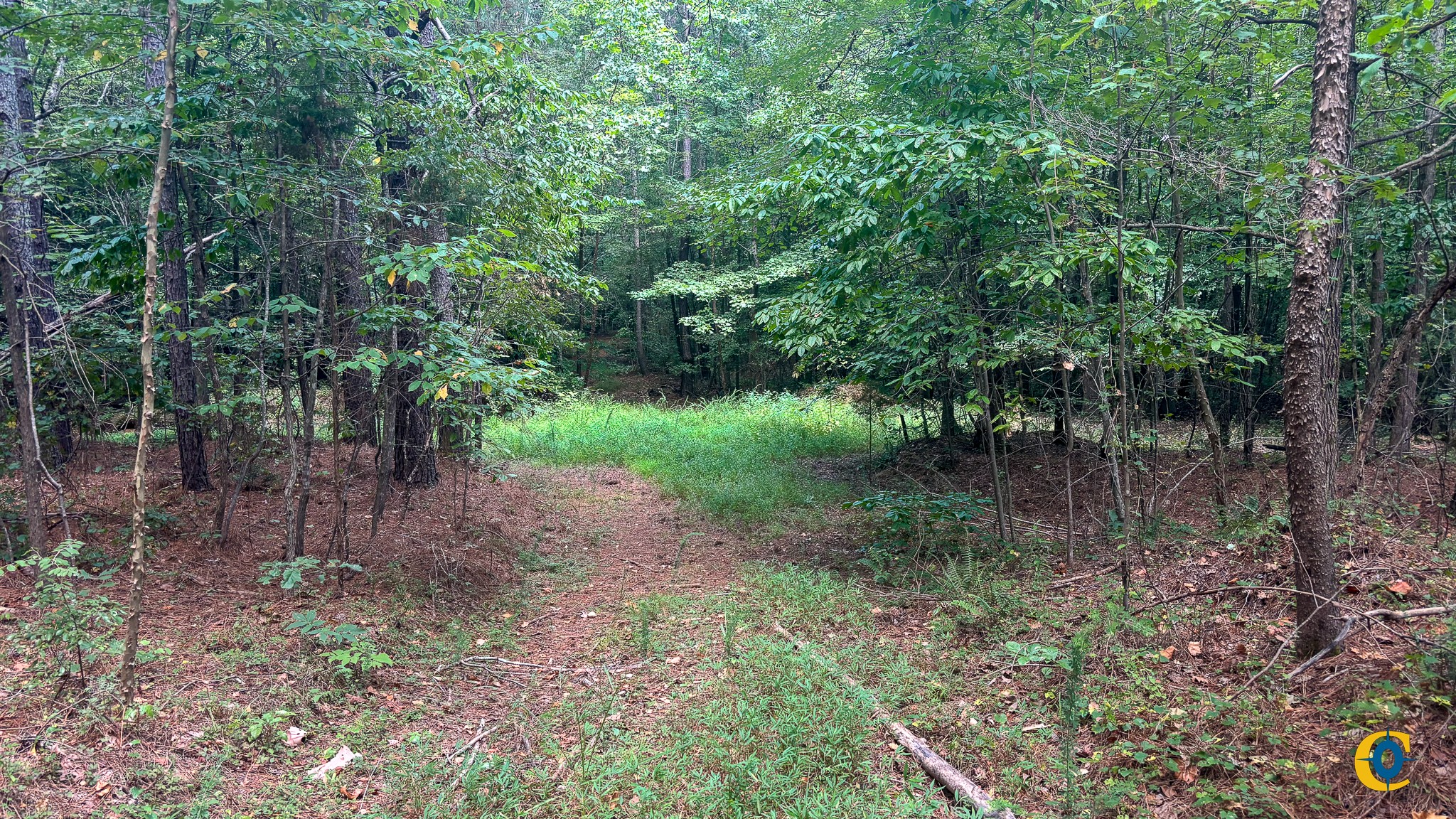 9971 Birdsong Rd Property Photo 19