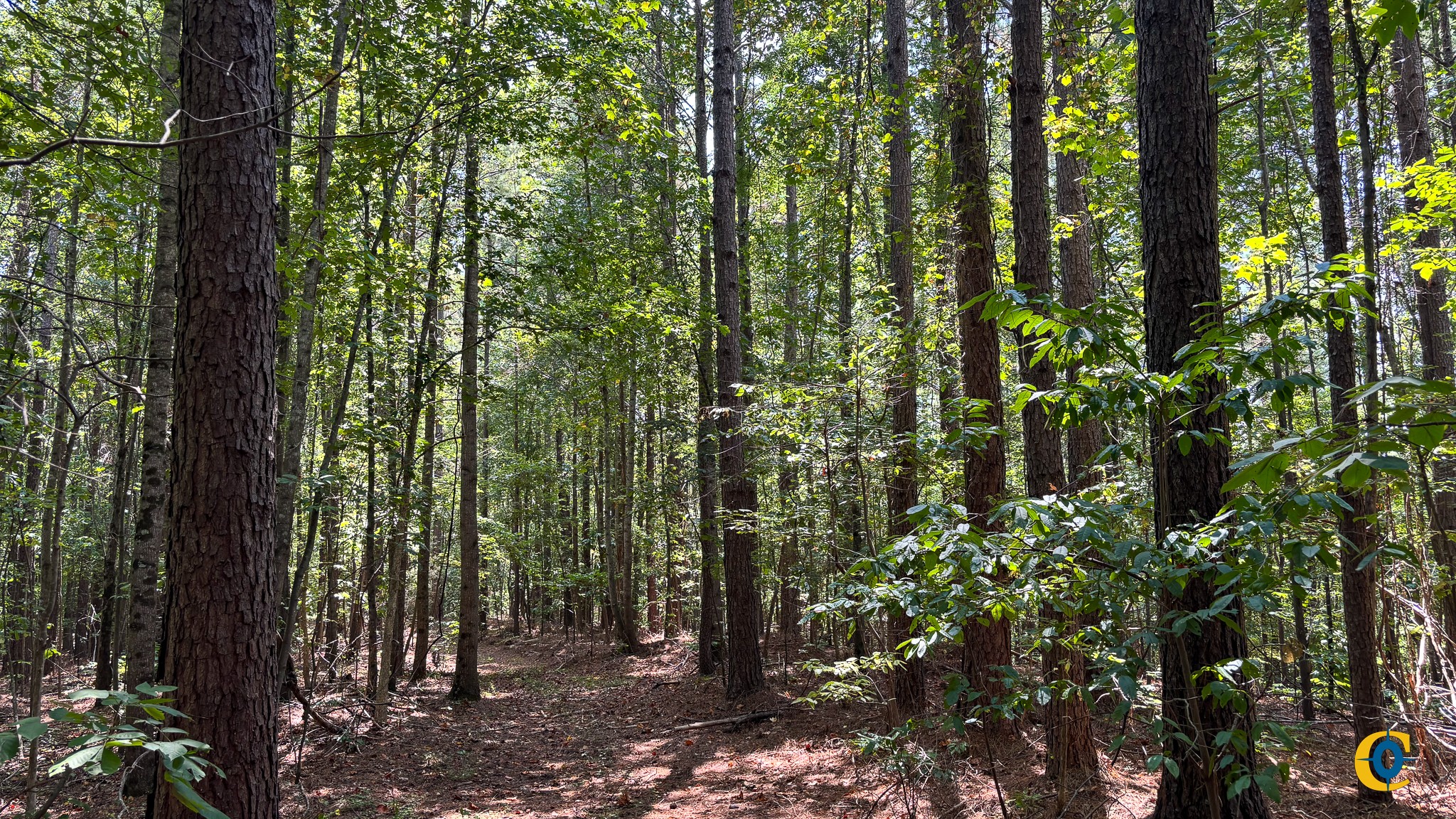 9971 Birdsong Rd Property Photo 20