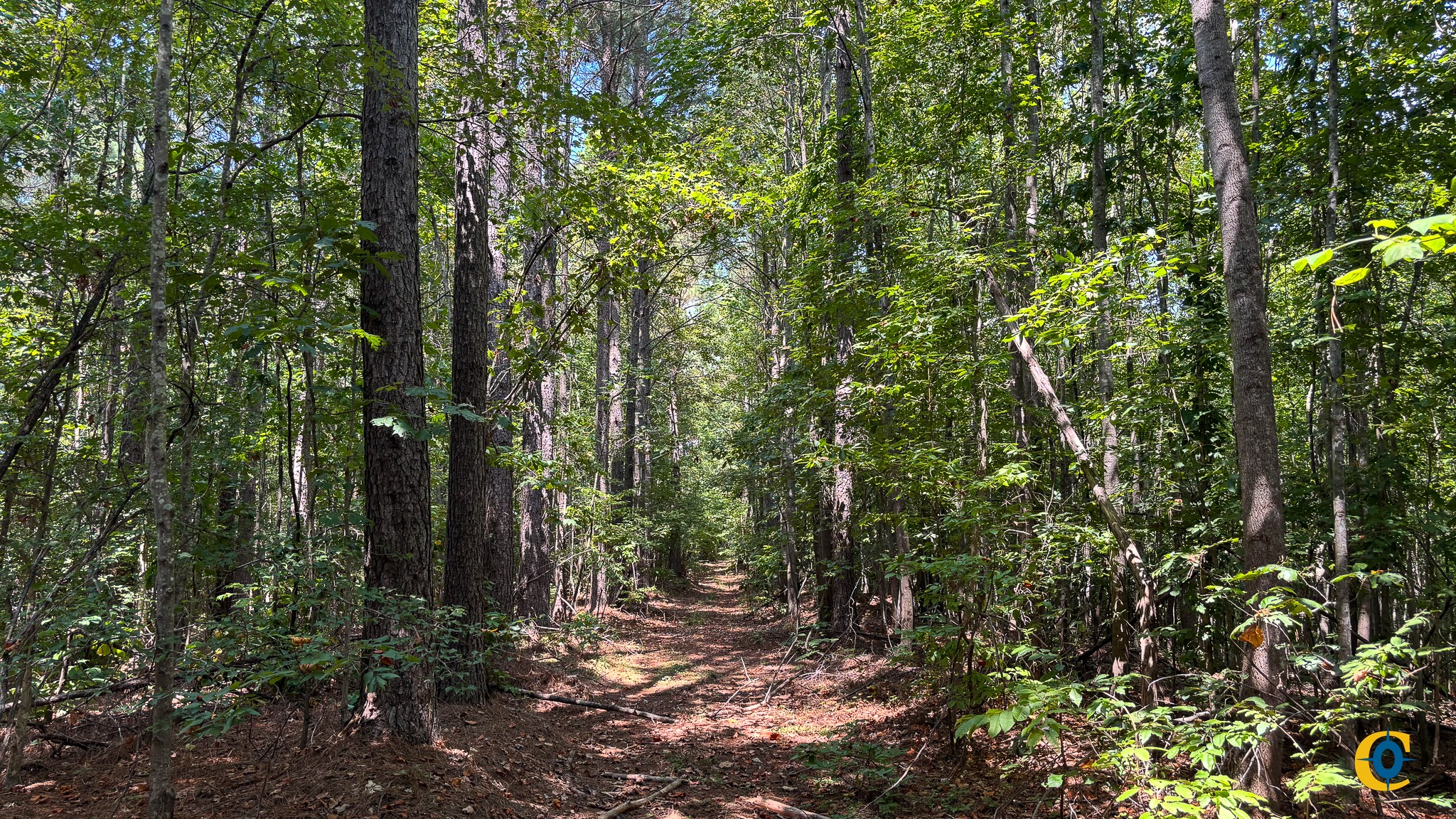 9971 Birdsong Rd Property Photo 21