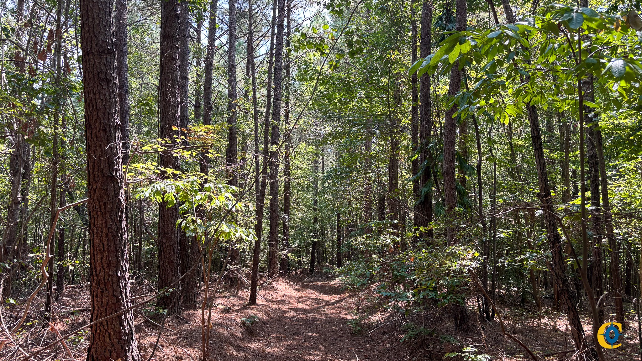 9971 Birdsong Rd Property Photo 22