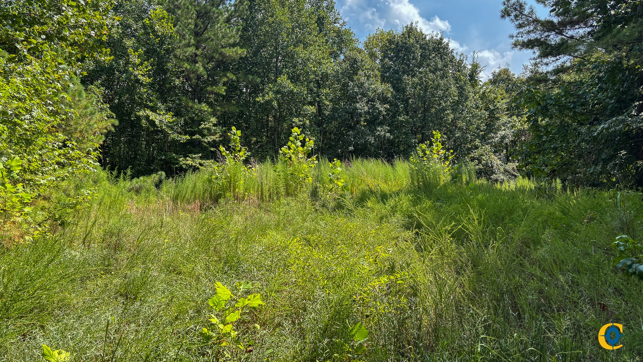 9971 Birdsong Rd Property Photo 24