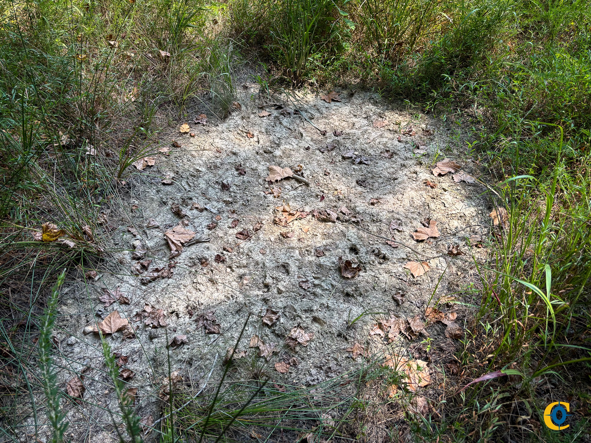 9971 Birdsong Rd Property Photo 25