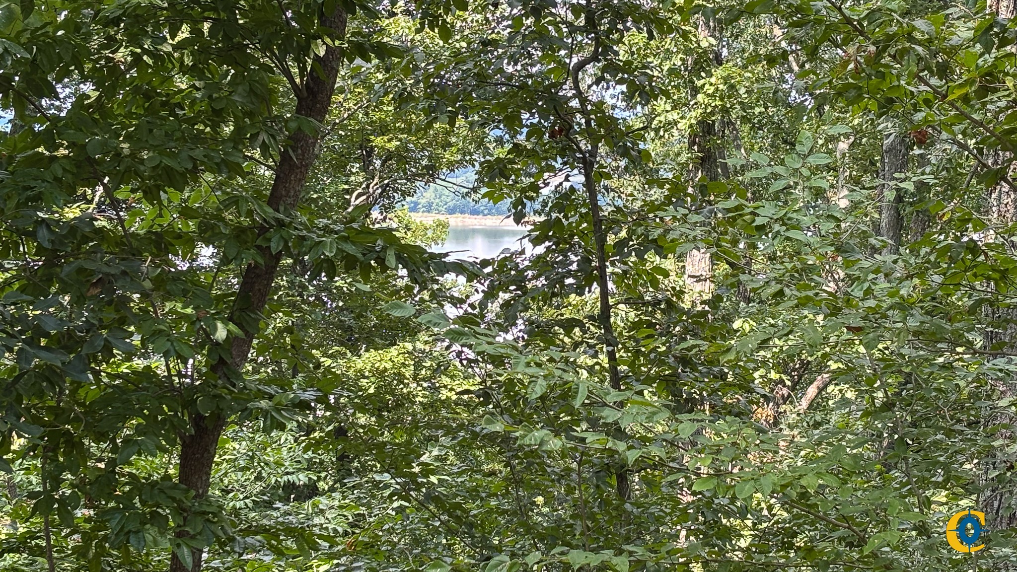 9971 Birdsong Rd Property Photo 26