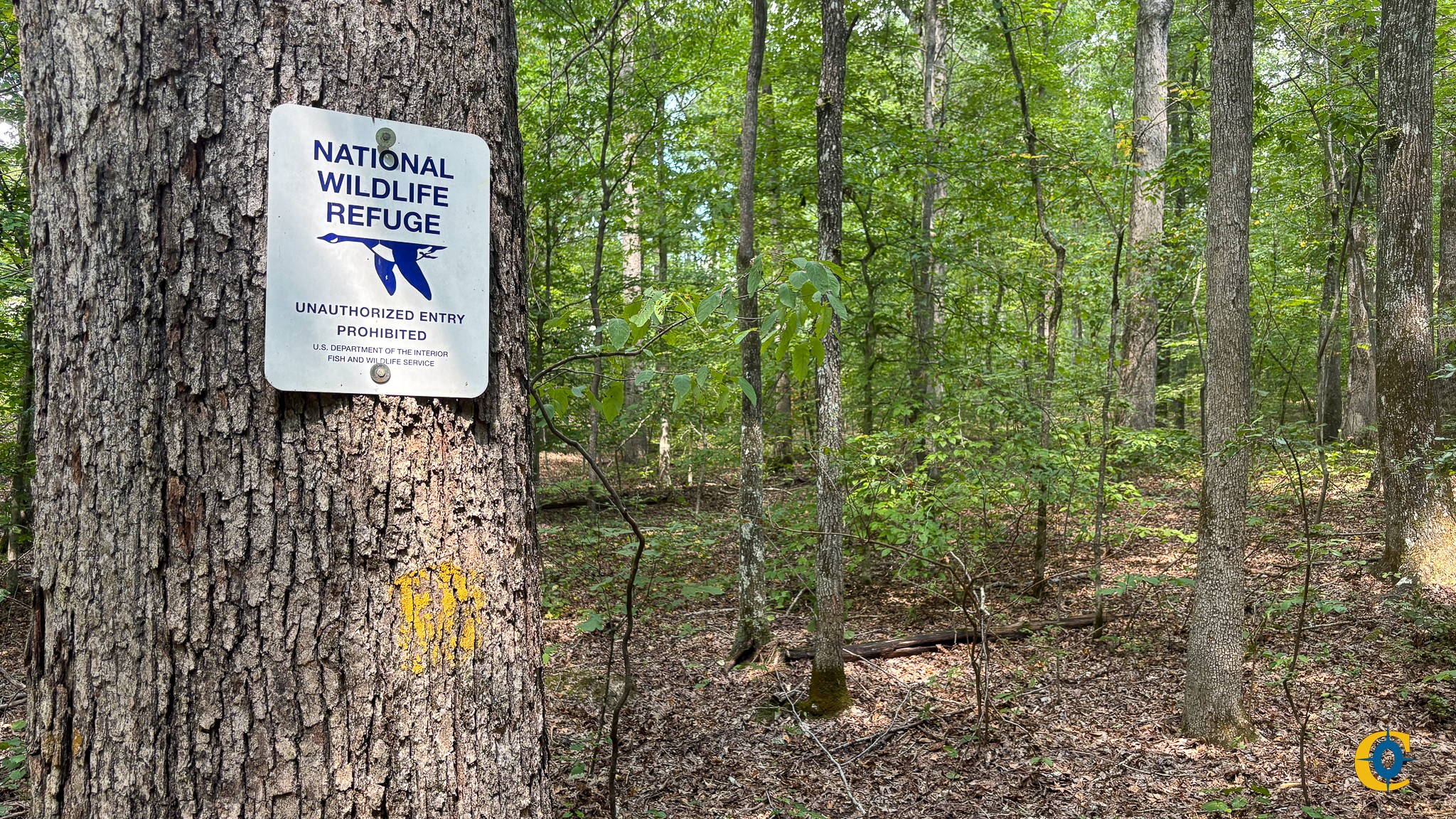 9971 Birdsong Rd Property Photo 27