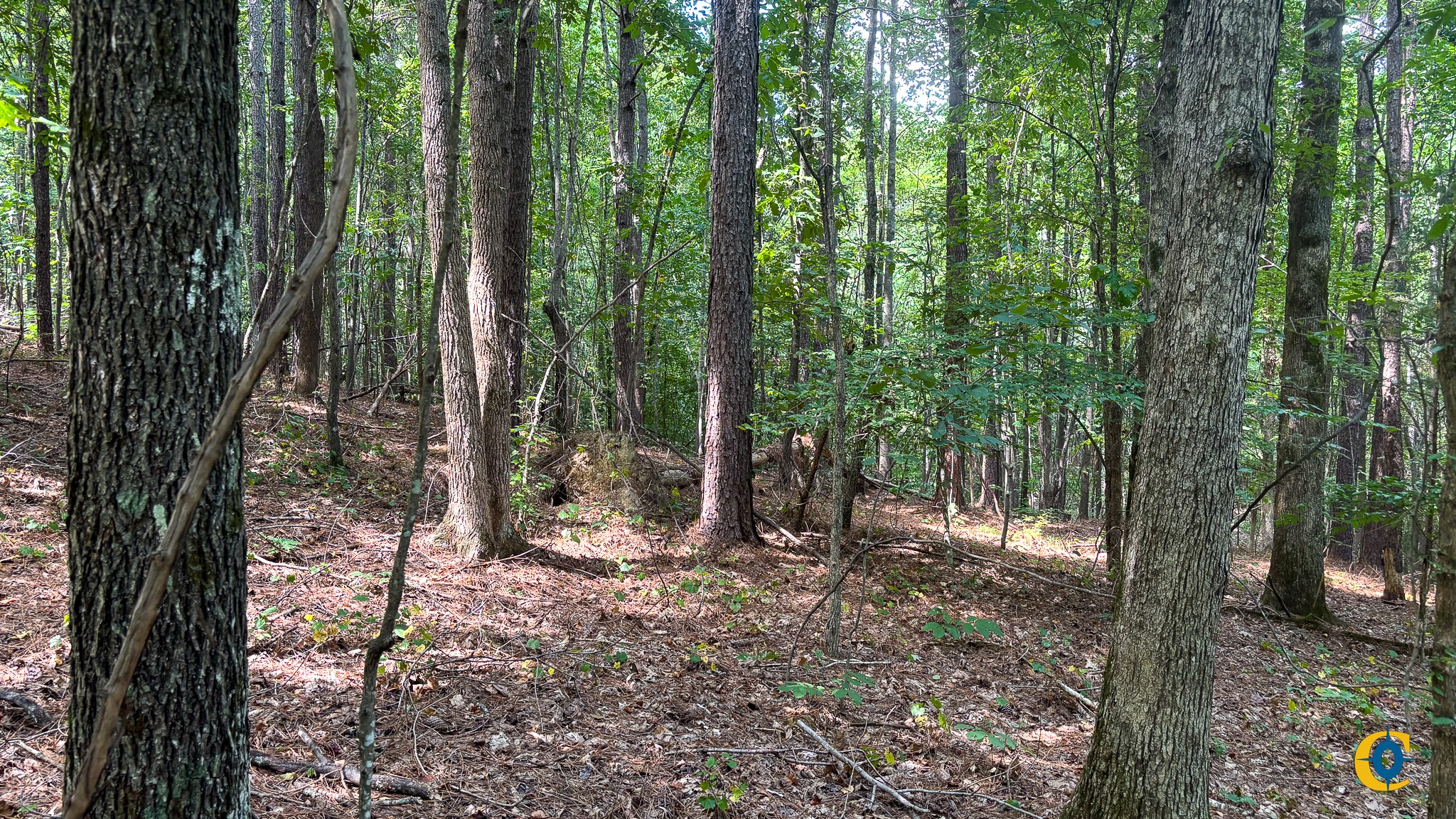 9971 Birdsong Rd Property Photo 28