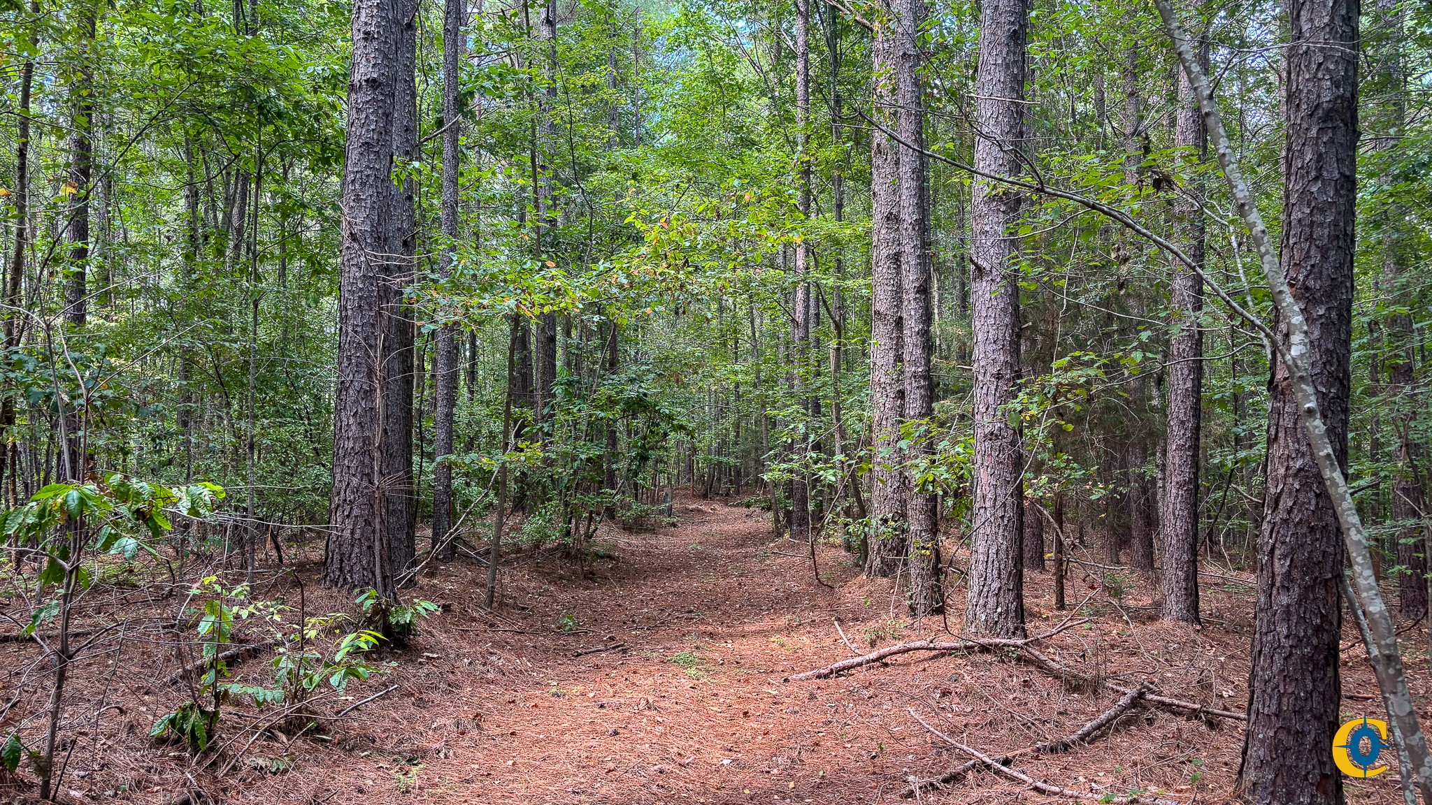 9971 Birdsong Rd Property Photo 30
