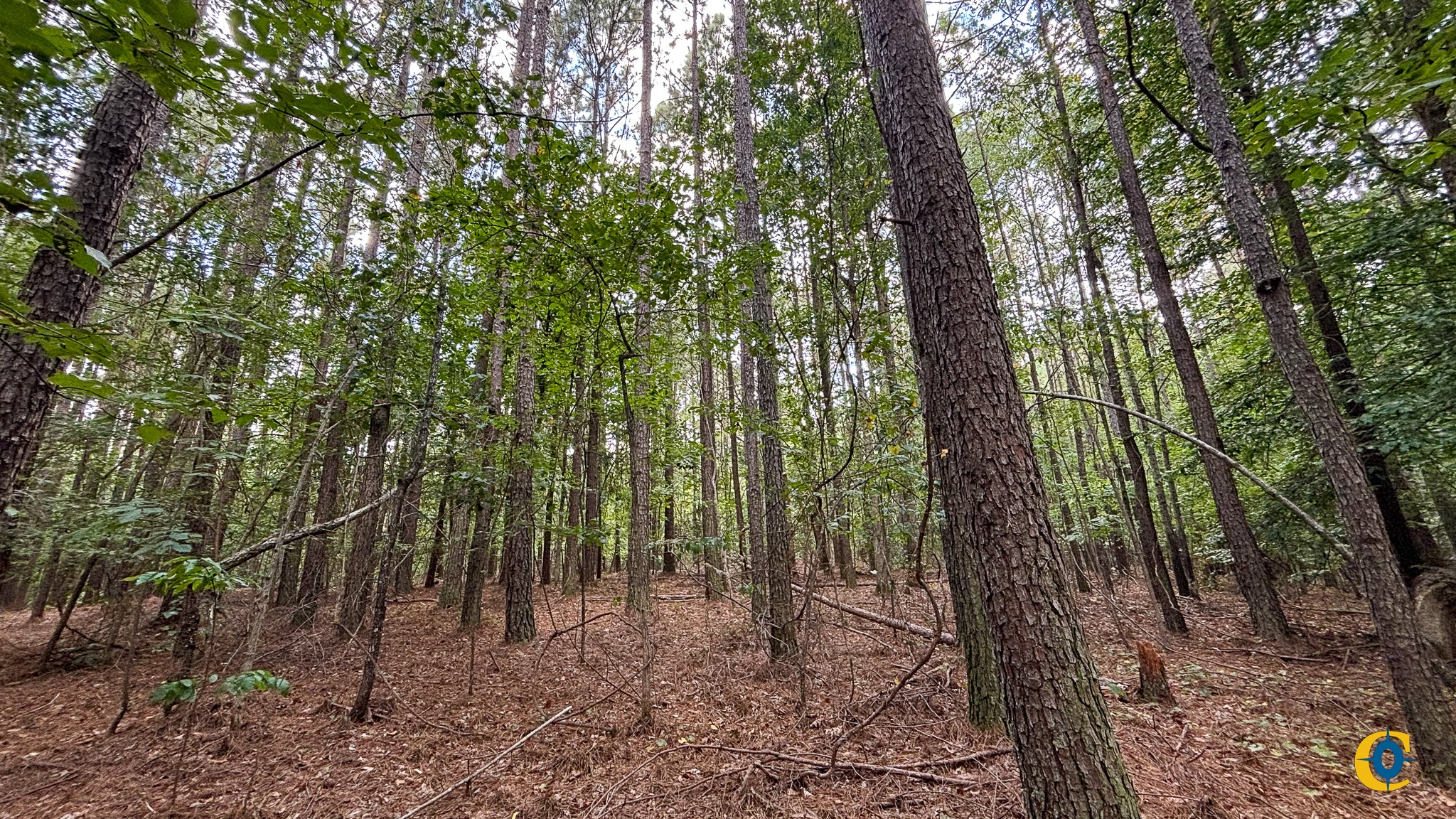 9971 Birdsong Rd Property Photo 36