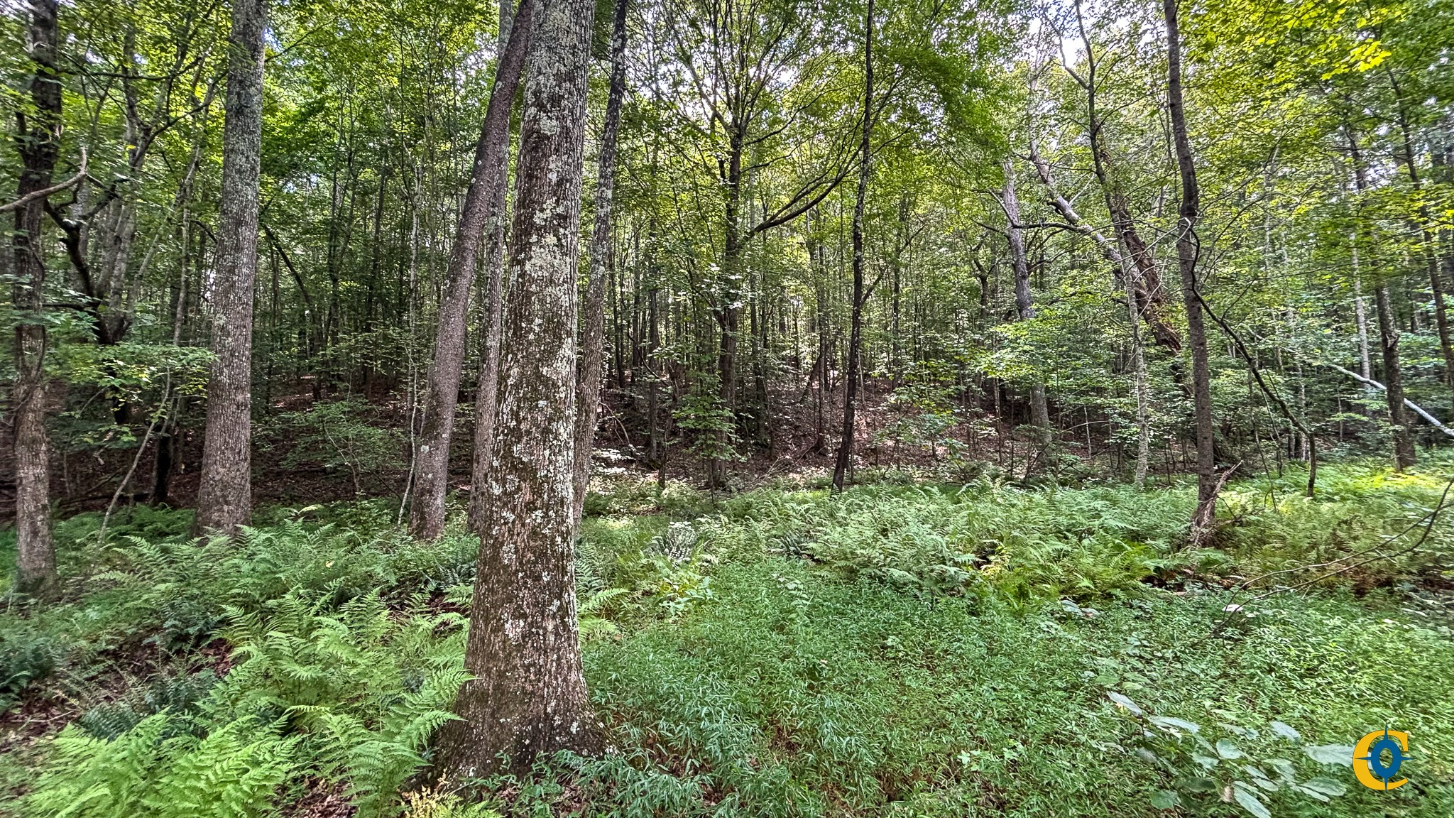 9971 Birdsong Rd Property Photo 37