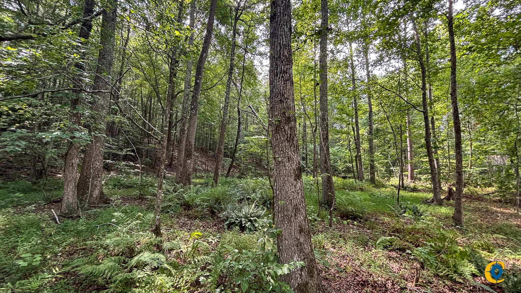 9971 Birdsong Rd Property Photo 38