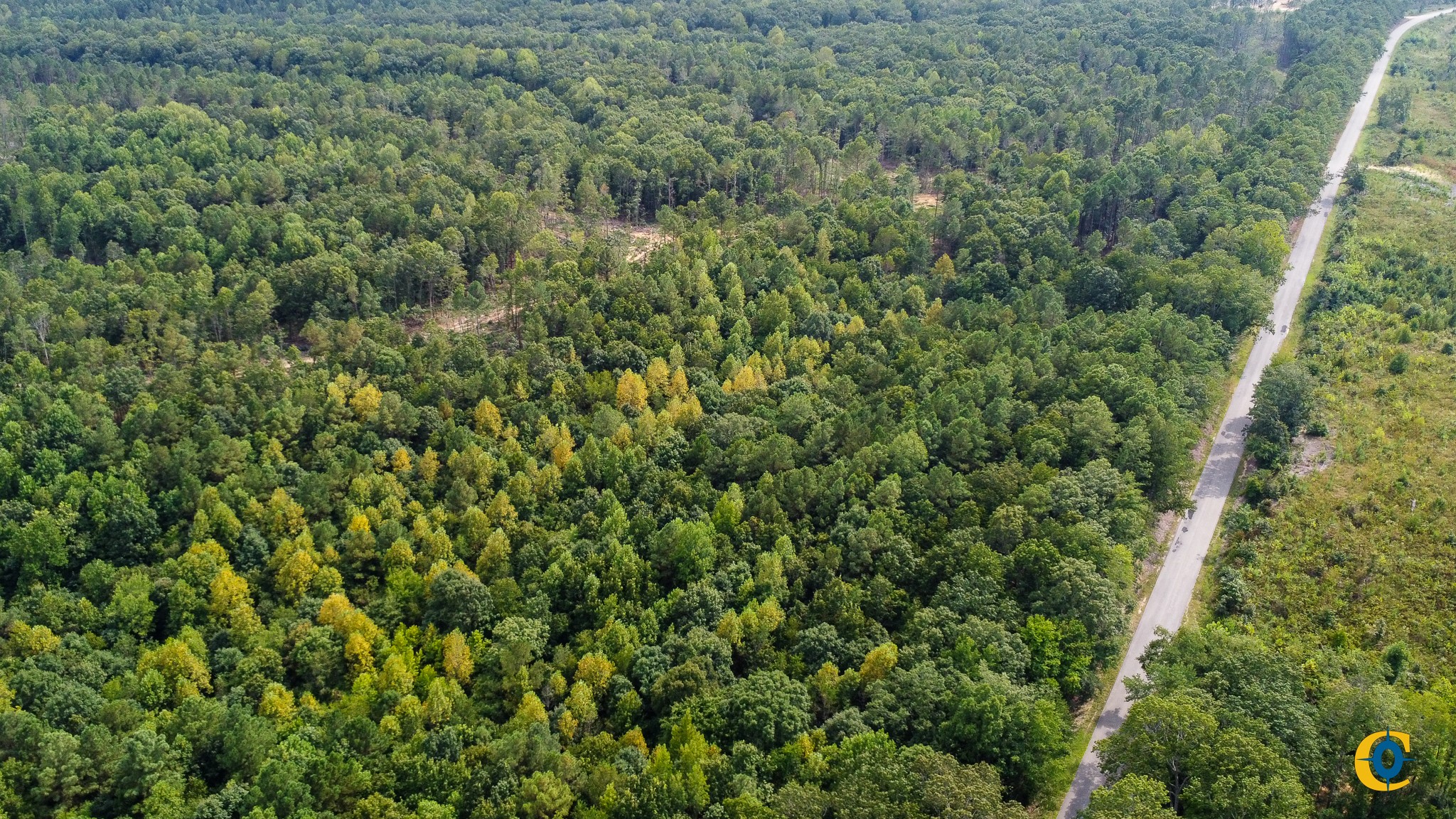 9971 Birdsong Rd Property Photo 42