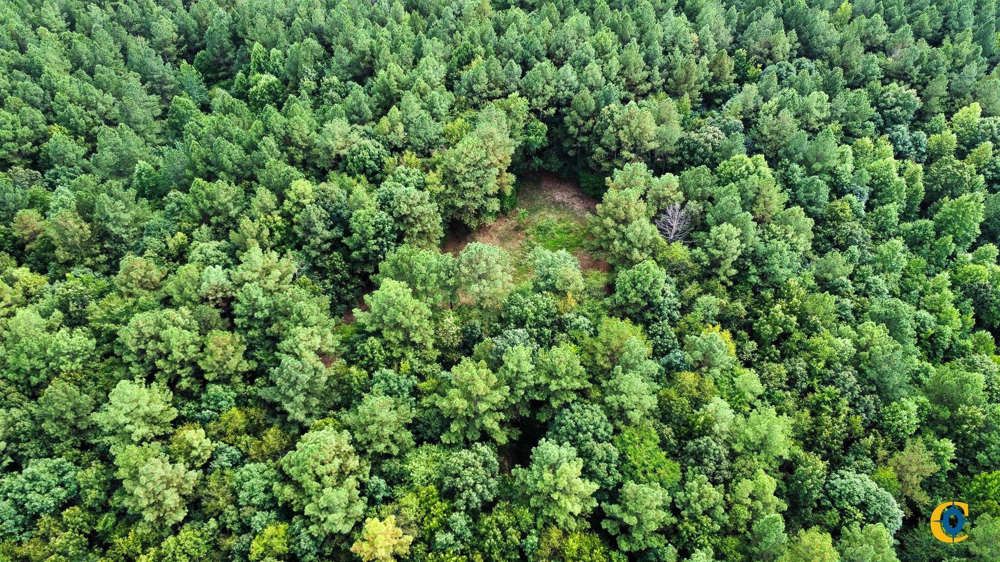 9971 Birdsong Rd Property Photo 46