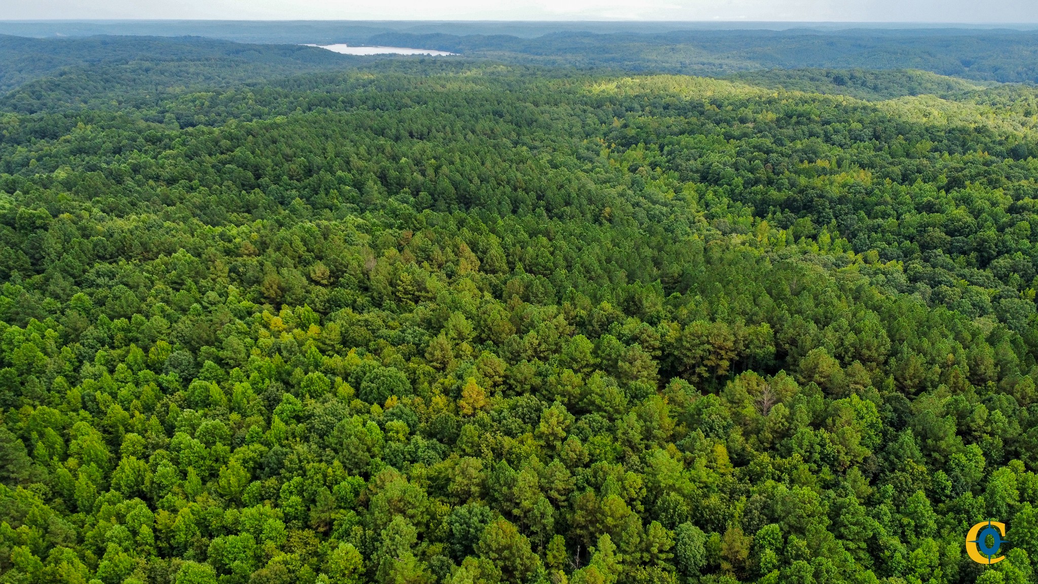 9971 Birdsong Rd Property Photo 47