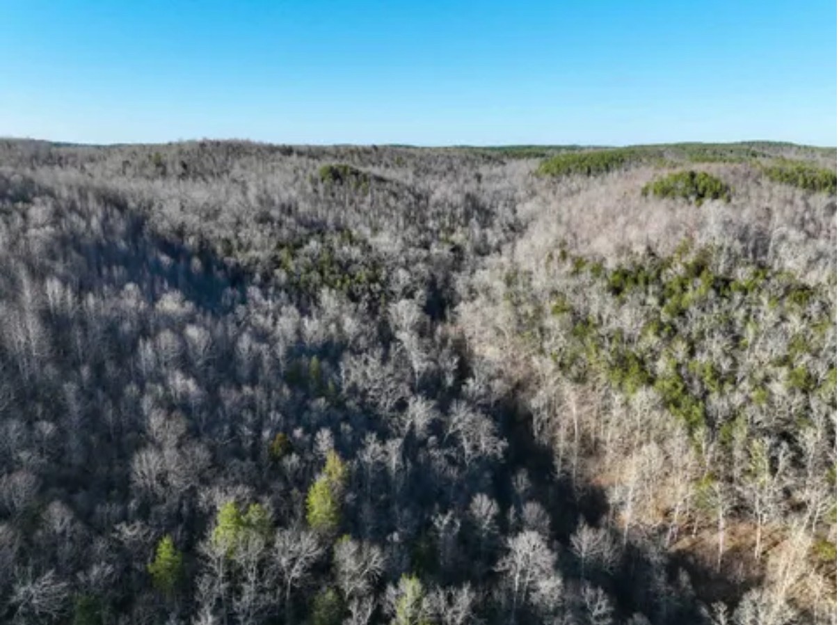 0 Davis Hollow Rd Property Photo 4