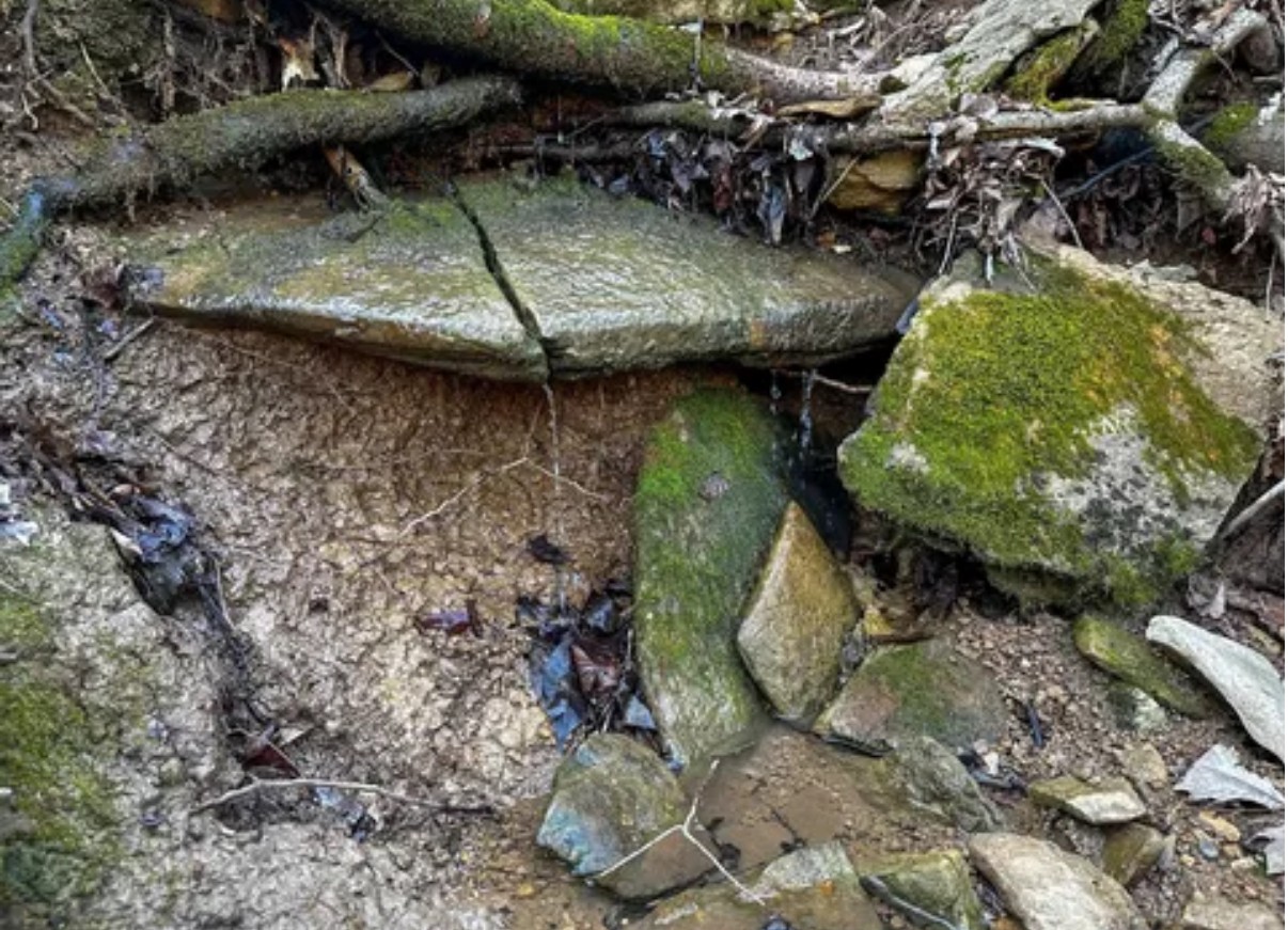 0 Davis Hollow Rd Property Photo 7