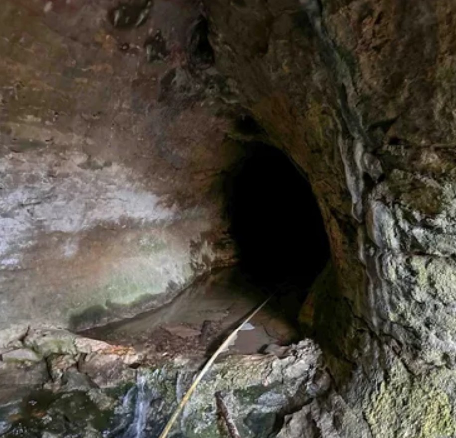 0 Davis Hollow Rd Property Photo 8