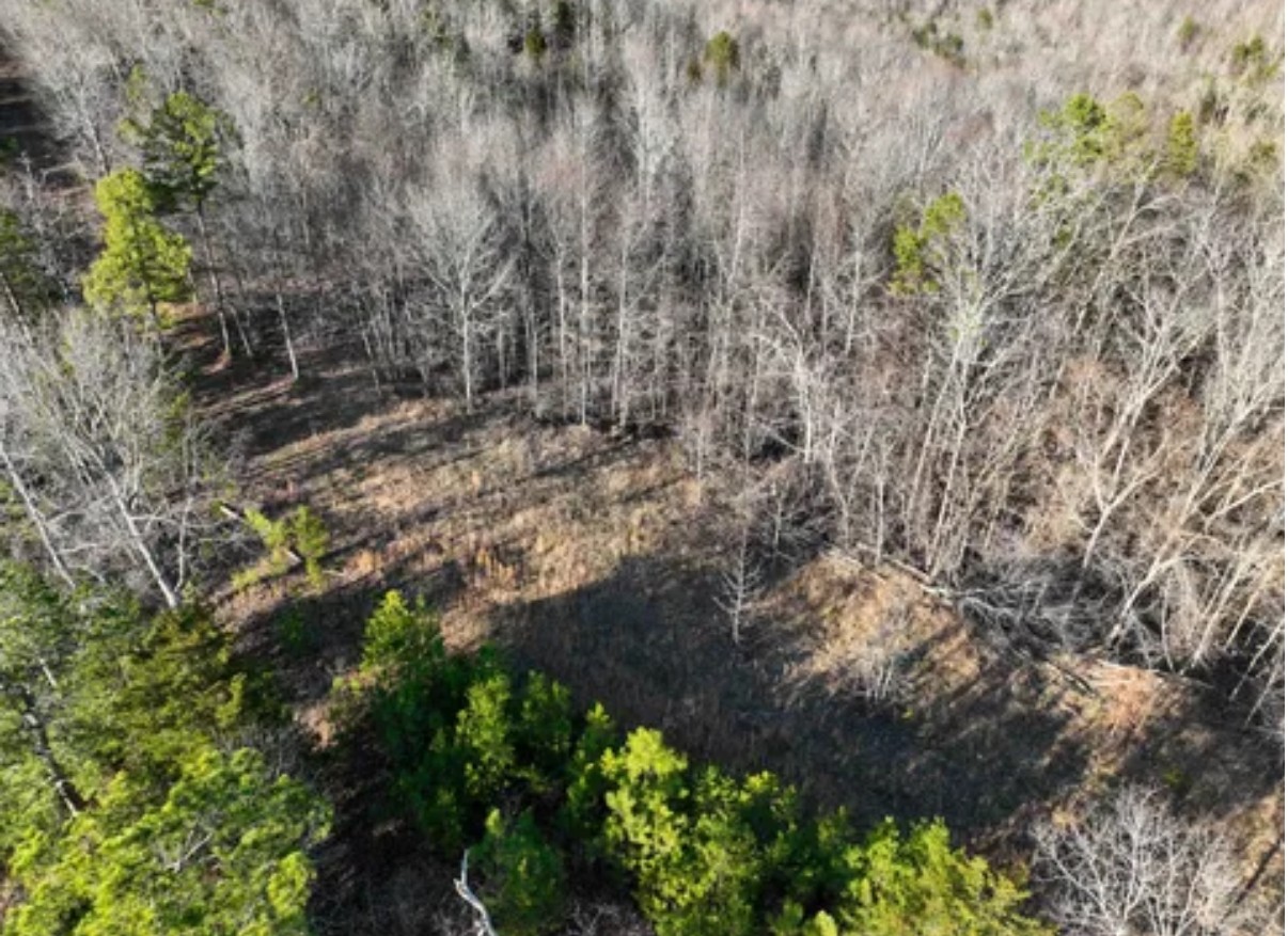 0 Davis Hollow Rd Property Photo 9