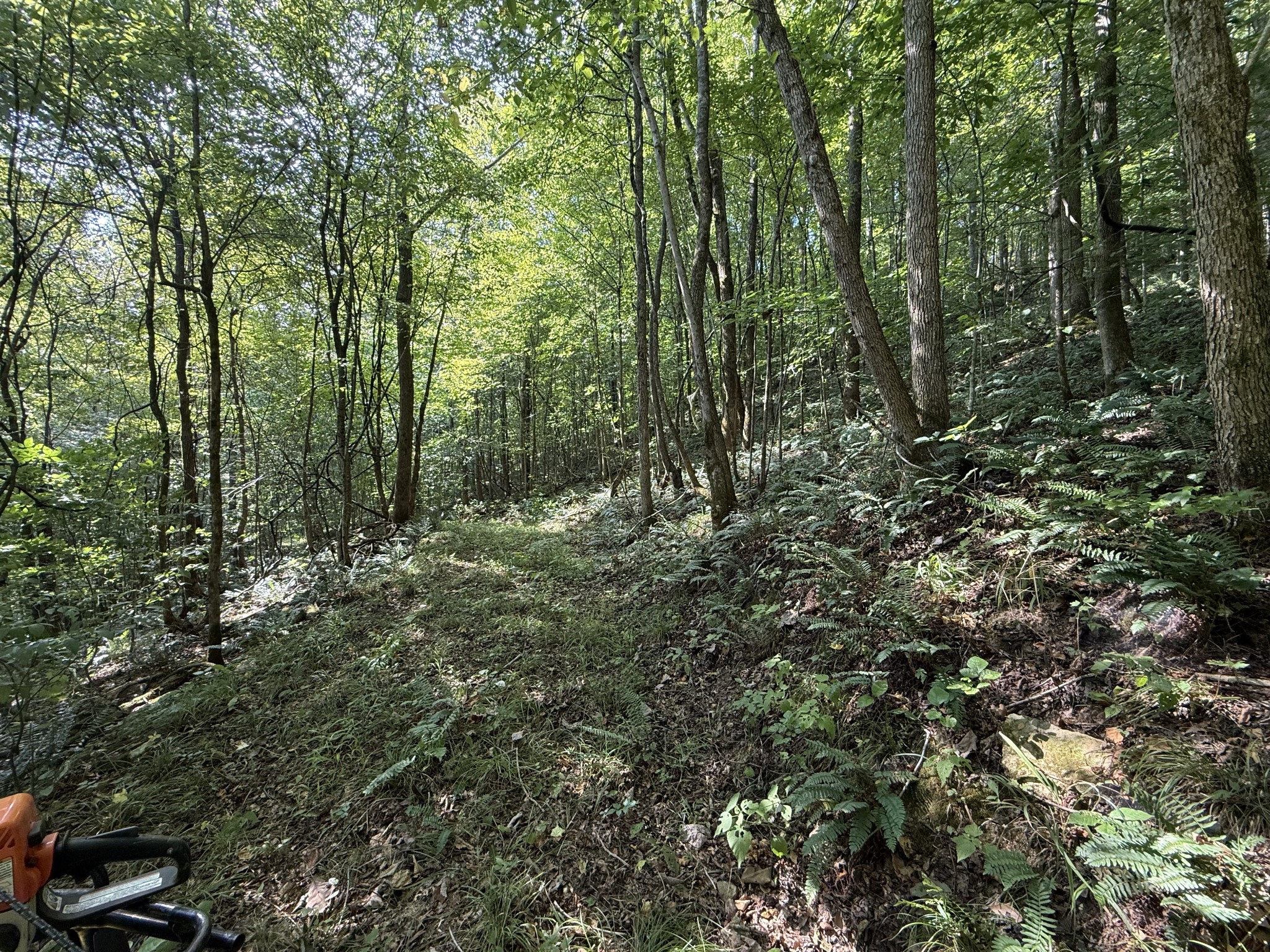 0 Davis Hollow Rd Property Photo 14